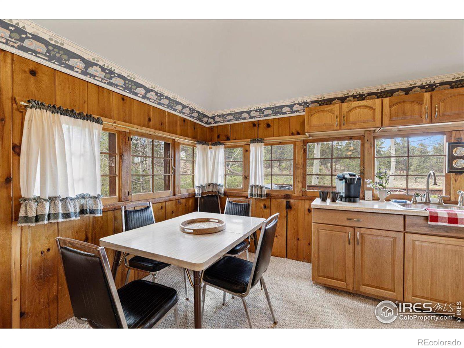 MLS Image #4 for 118  minnehaha street,red feather lakes, Colorado