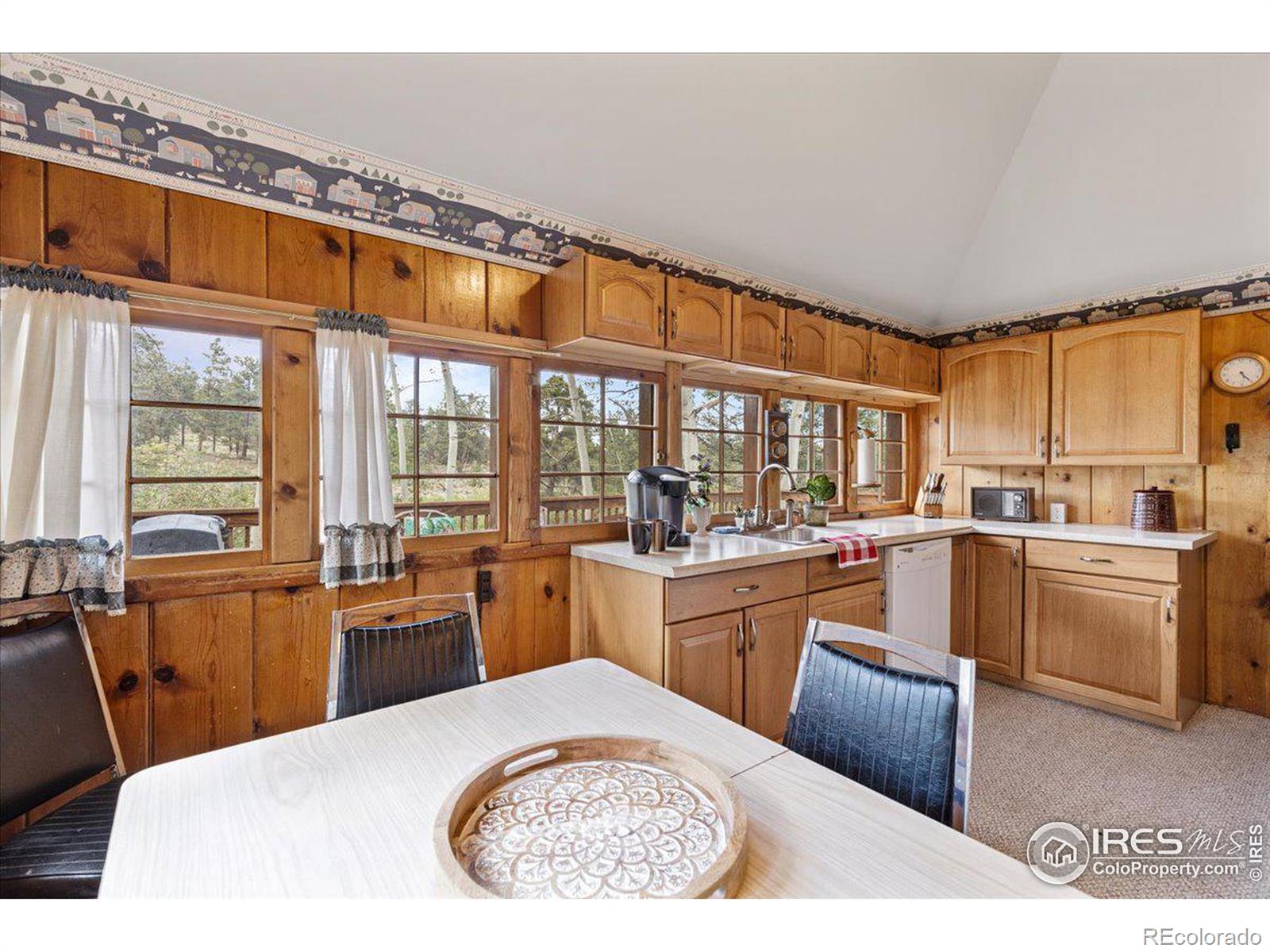 MLS Image #5 for 118  minnehaha street,red feather lakes, Colorado