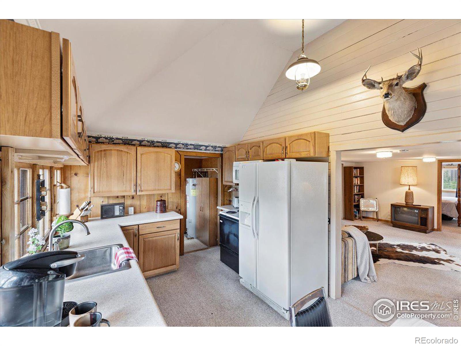 MLS Image #6 for 118  minnehaha street,red feather lakes, Colorado