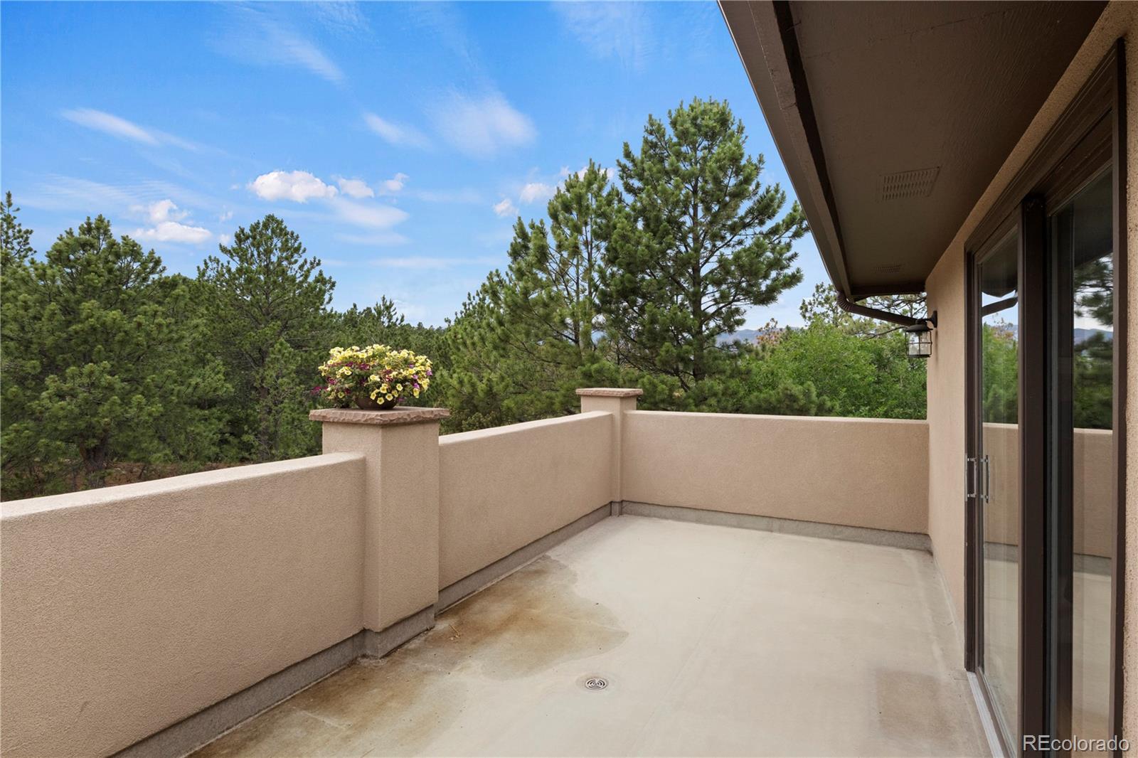 MLS Image #36 for 5827  spurwood court,colorado springs, Colorado