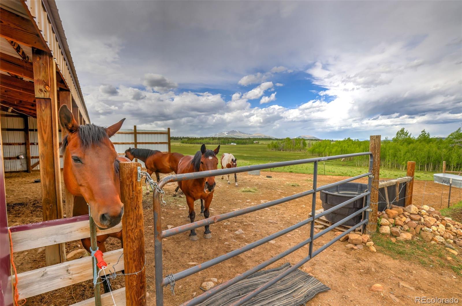 MLS Image #12 for 899  county road 18 ,fairplay, Colorado