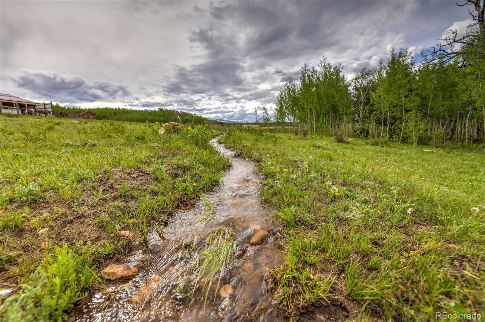 MLS Image #13 for 899  county road 18 ,fairplay, Colorado