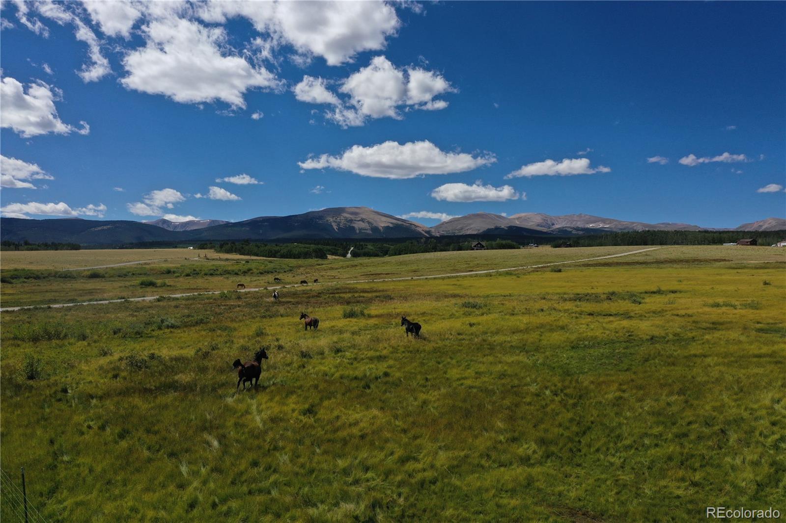 MLS Image #16 for 899  county road 18 ,fairplay, Colorado