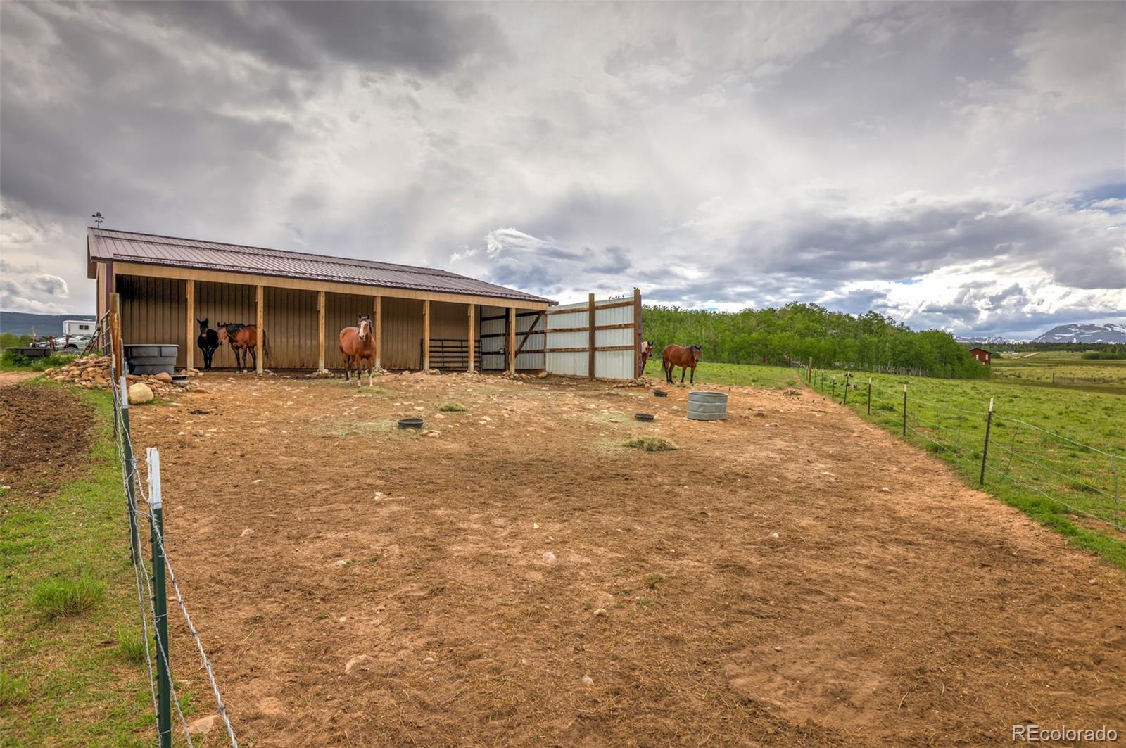 MLS Image #21 for 899  county road 18 ,fairplay, Colorado