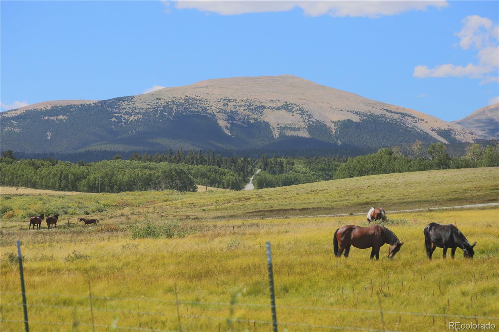 MLS Image #24 for 899  county road 18 ,fairplay, Colorado