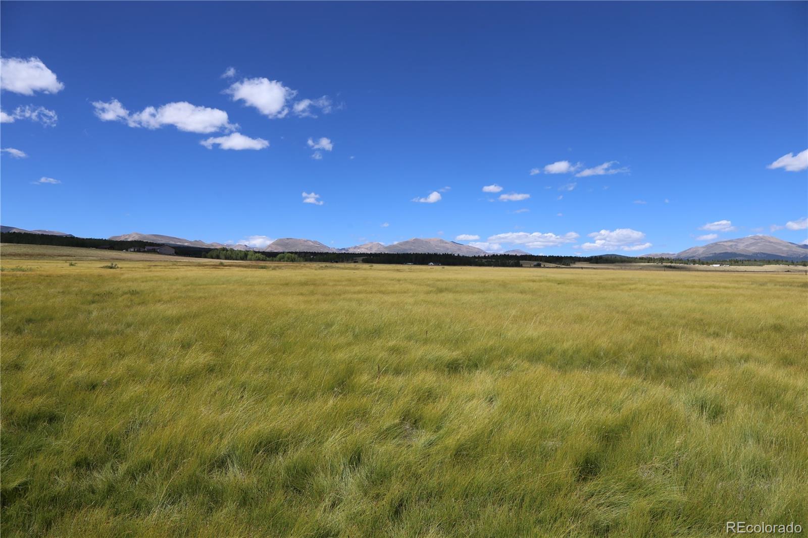 MLS Image #25 for 899  county road 18 ,fairplay, Colorado