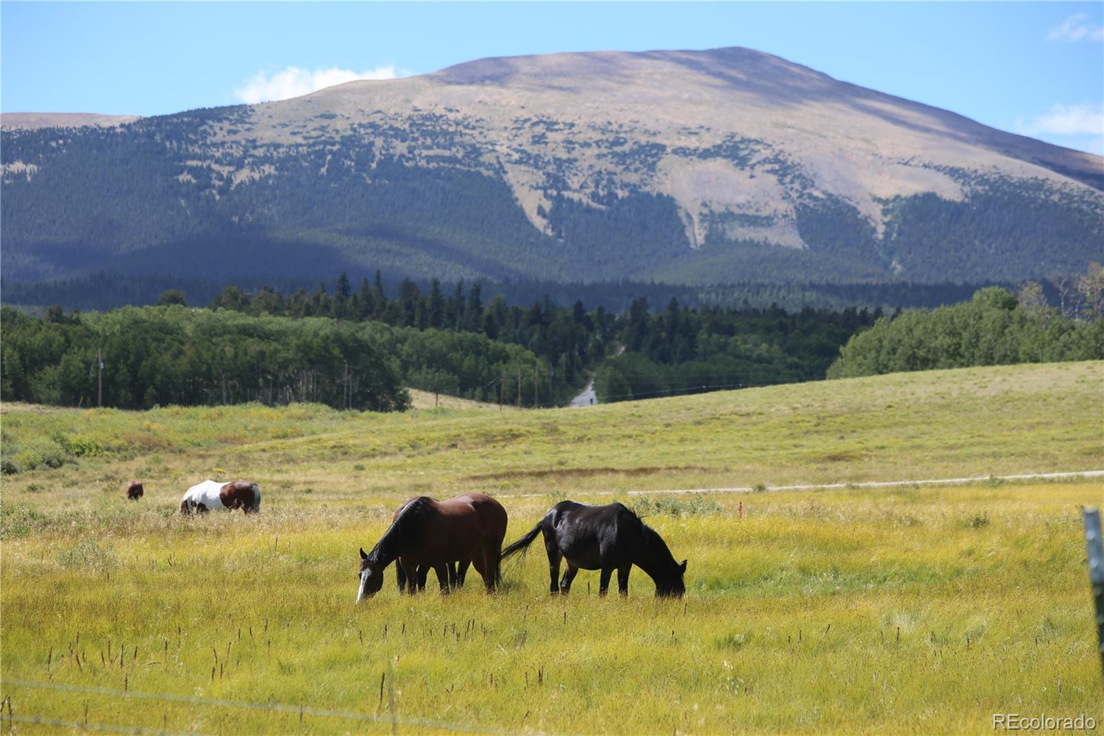 MLS Image #29 for 899  county road 18 ,fairplay, Colorado