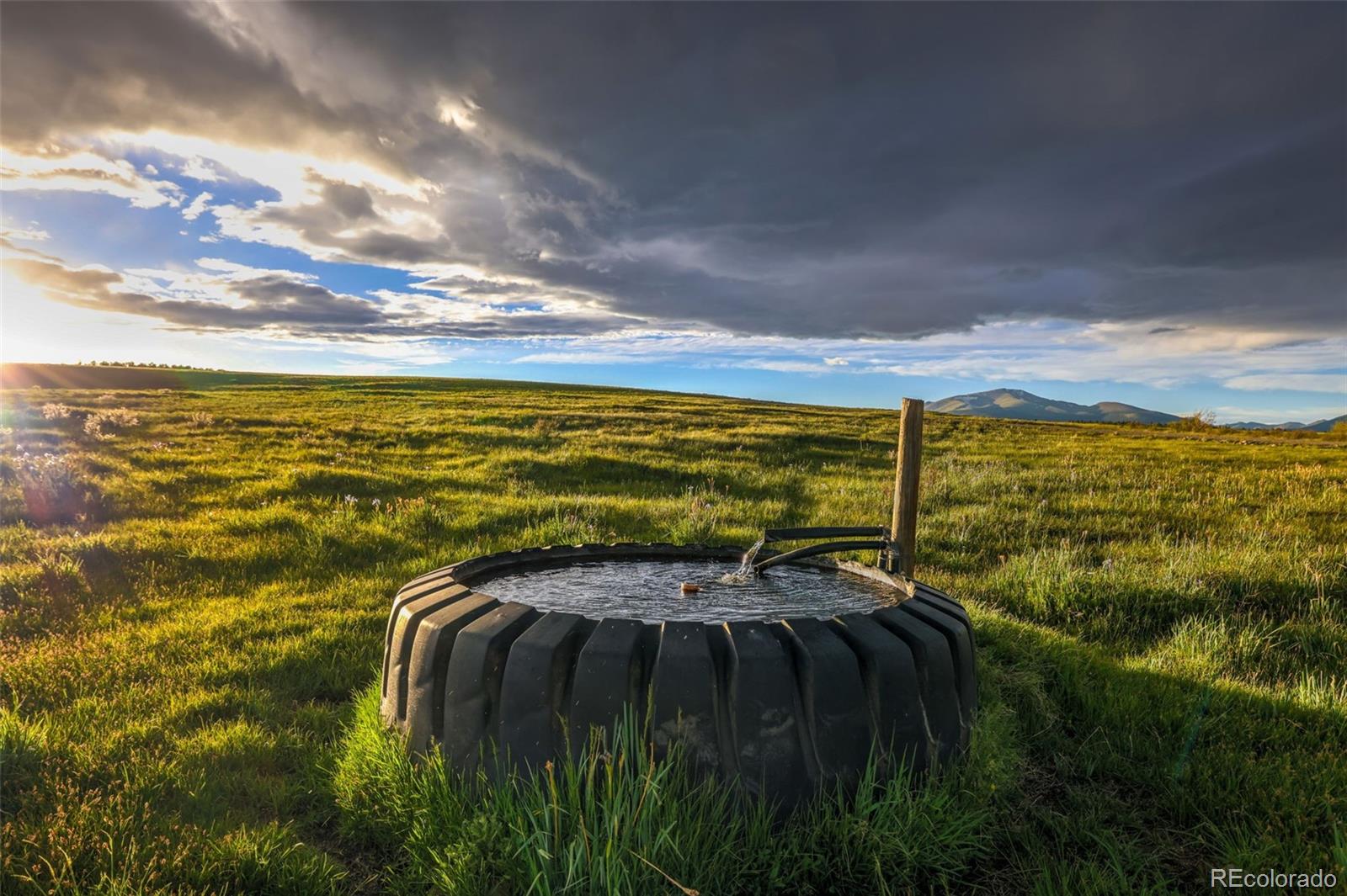 MLS Image #5 for 899  county road 18 ,fairplay, Colorado