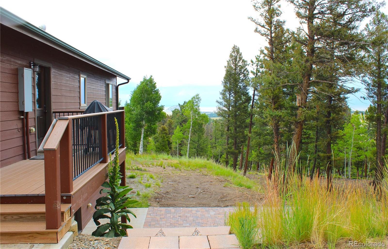 MLS Image #11 for 946  singletree road,hartsel, Colorado