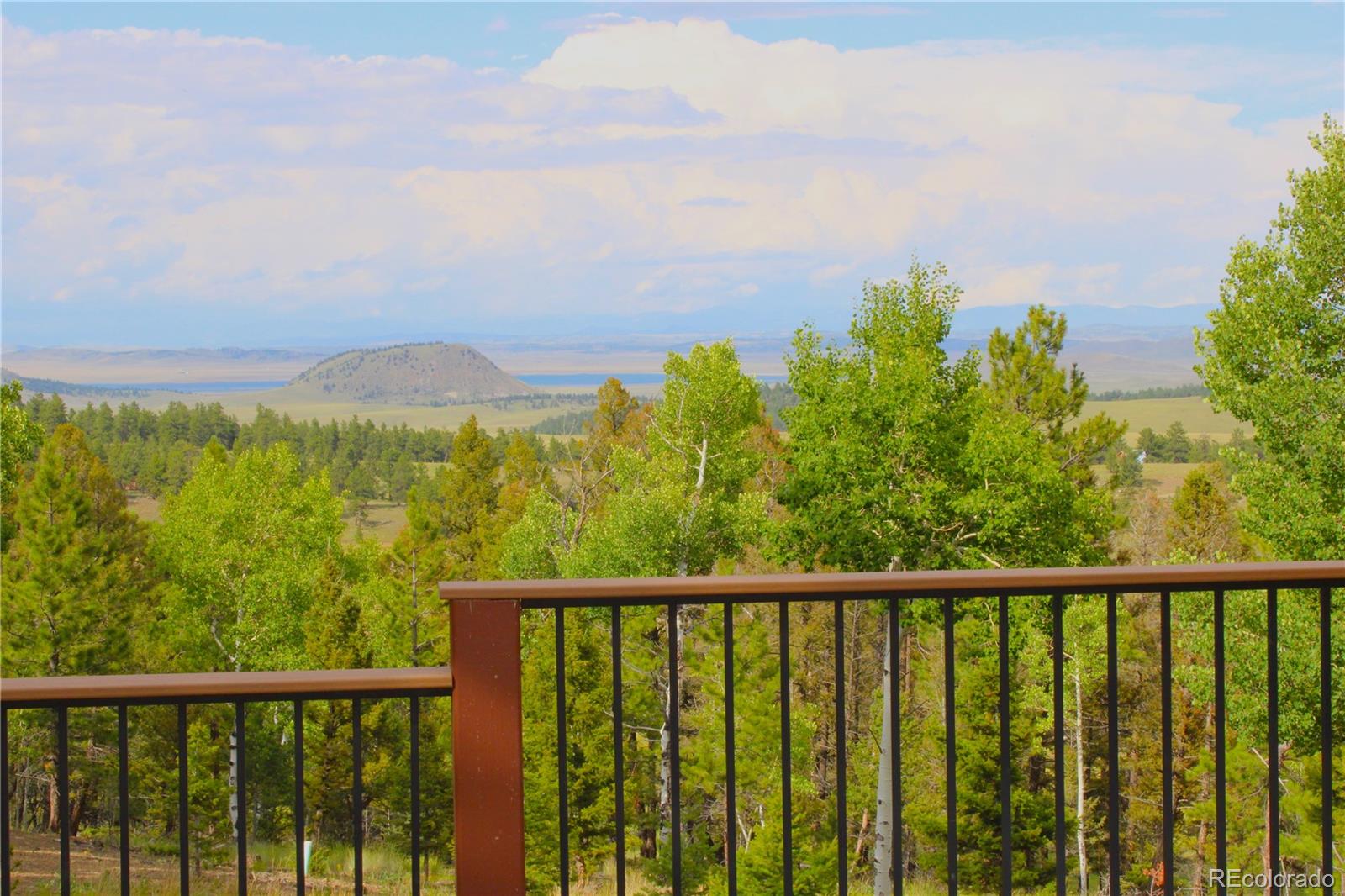 MLS Image #3 for 946  singletree road,hartsel, Colorado