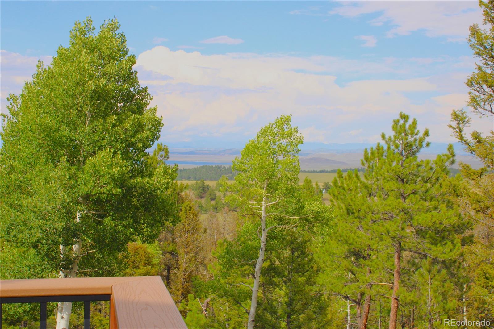 MLS Image #46 for 946  singletree road,hartsel, Colorado