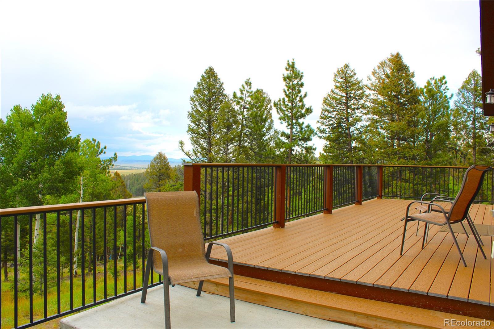 MLS Image #6 for 946  singletree road,hartsel, Colorado