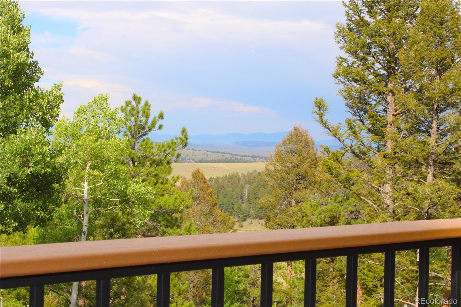 MLS Image #7 for 946  singletree road,hartsel, Colorado