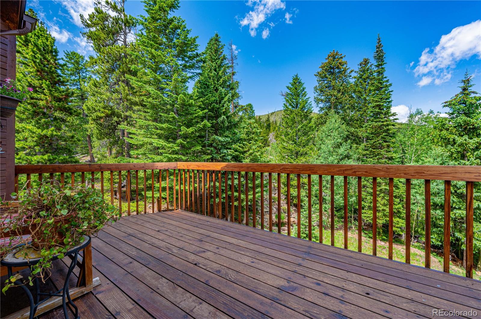 MLS Image #12 for 518  meadow mountain drive,allenspark, Colorado