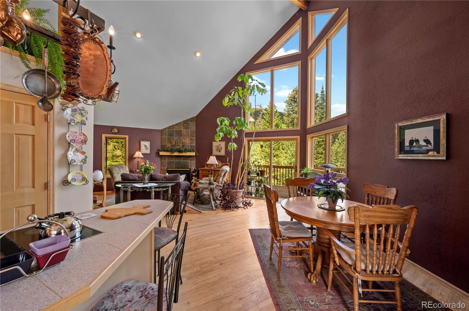 MLS Image #14 for 518  meadow mountain drive,allenspark, Colorado