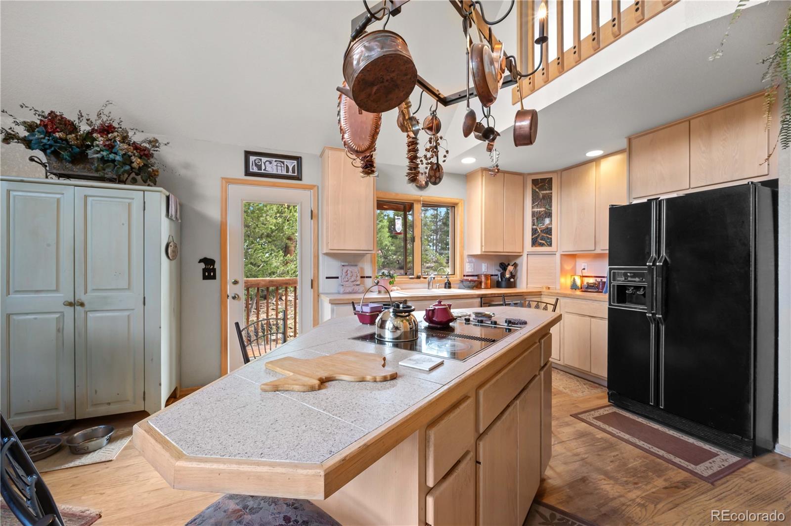 MLS Image #15 for 518  meadow mountain drive,allenspark, Colorado