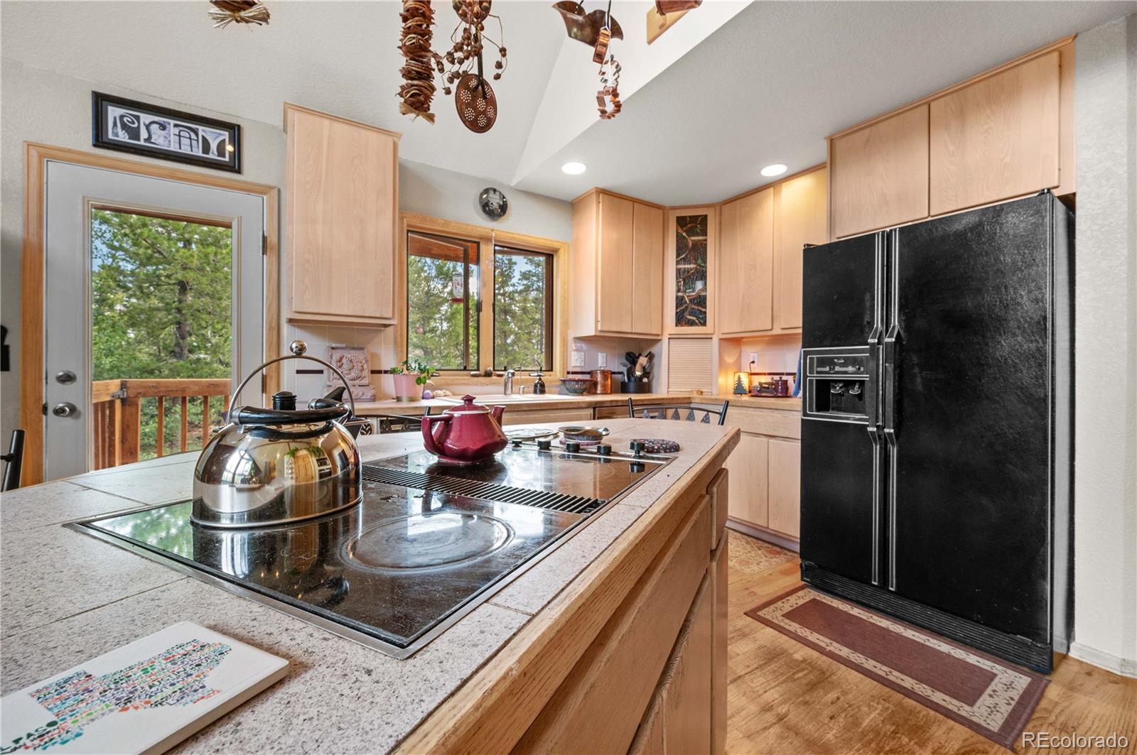 MLS Image #18 for 518  meadow mountain drive,allenspark, Colorado