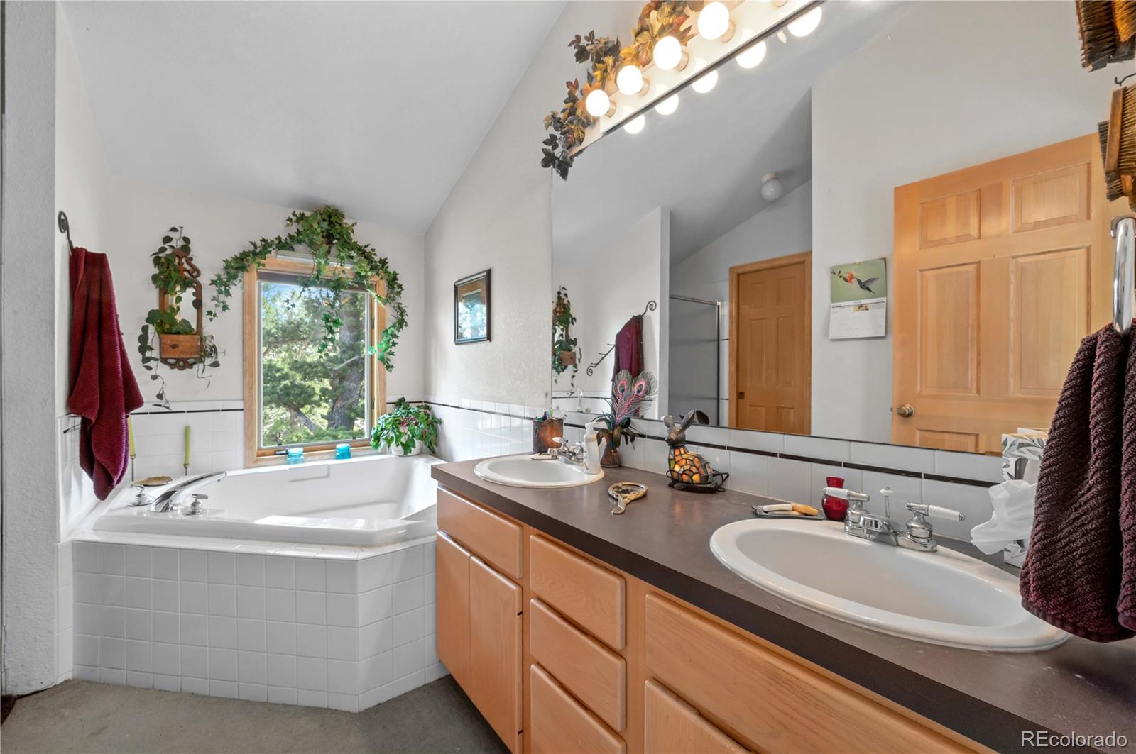 MLS Image #27 for 518  meadow mountain drive,allenspark, Colorado