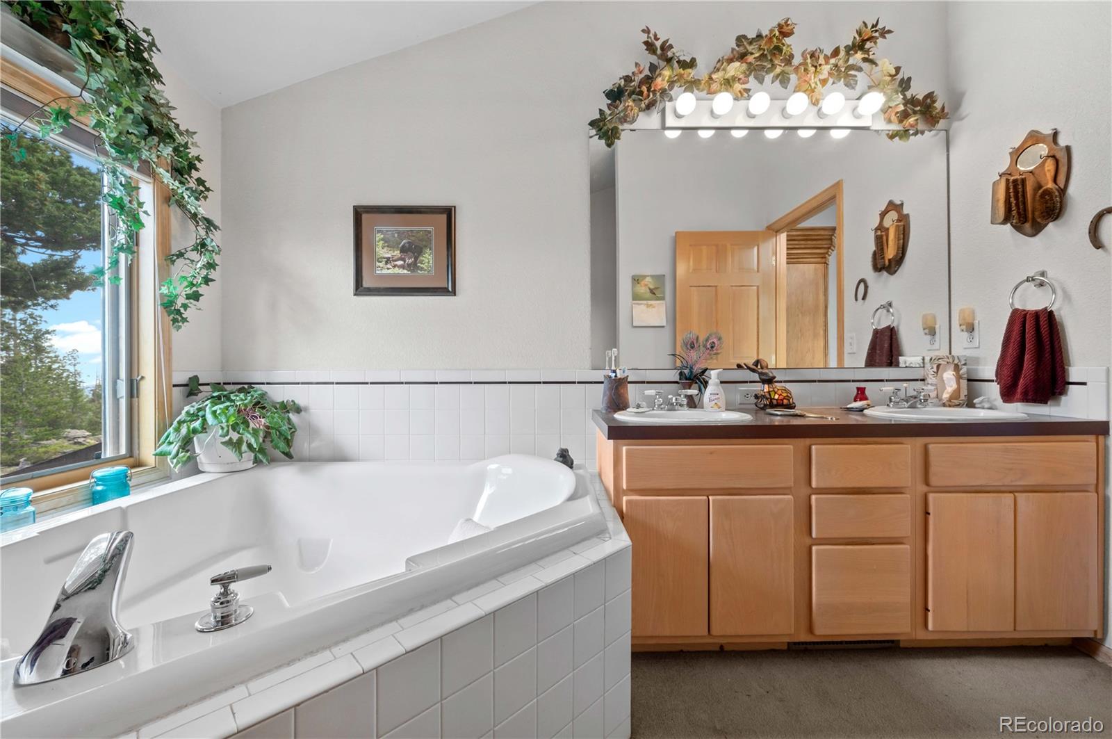 MLS Image #28 for 518  meadow mountain drive,allenspark, Colorado