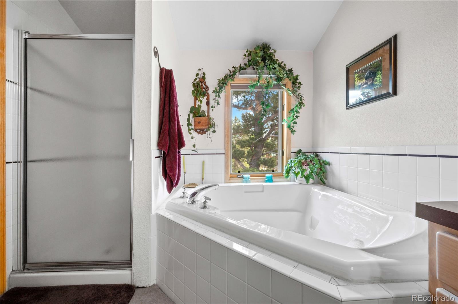 MLS Image #29 for 518  meadow mountain drive,allenspark, Colorado