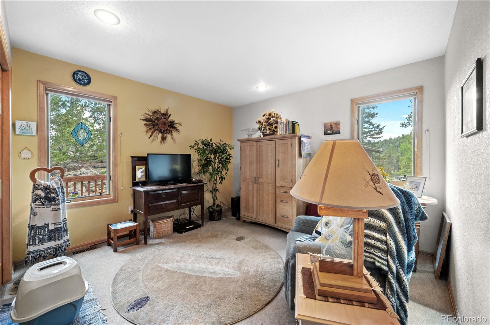 MLS Image #32 for 518  meadow mountain drive,allenspark, Colorado