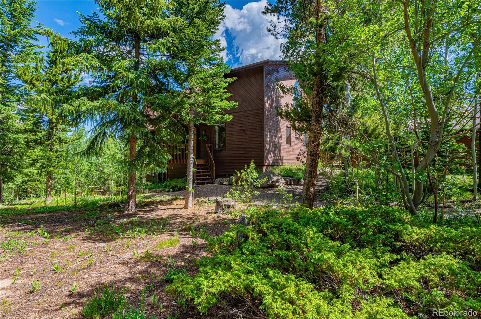 MLS Image #4 for 518  meadow mountain drive,allenspark, Colorado