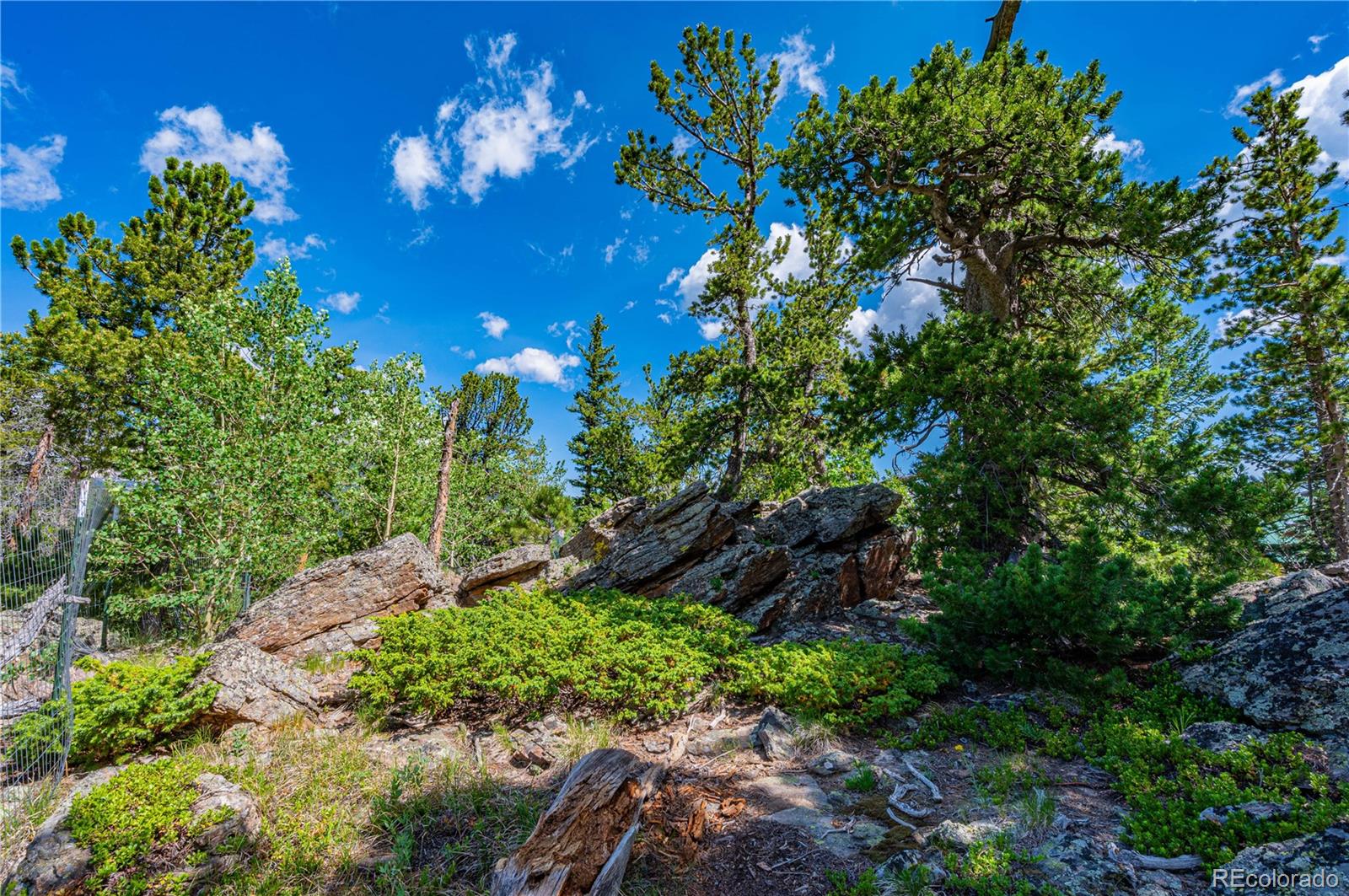 MLS Image #42 for 518  meadow mountain drive,allenspark, Colorado