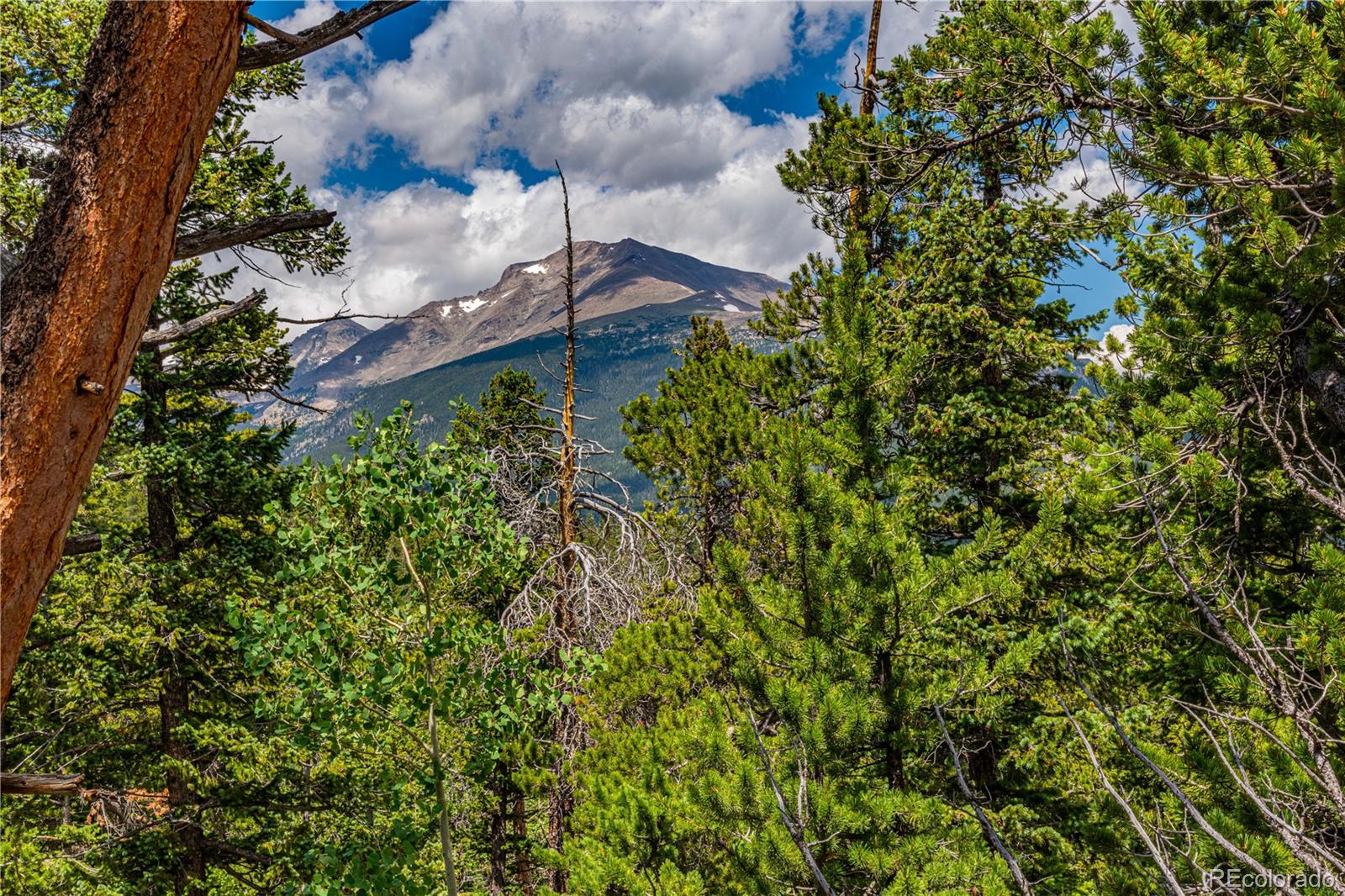 MLS Image #43 for 518  meadow mountain drive,allenspark, Colorado