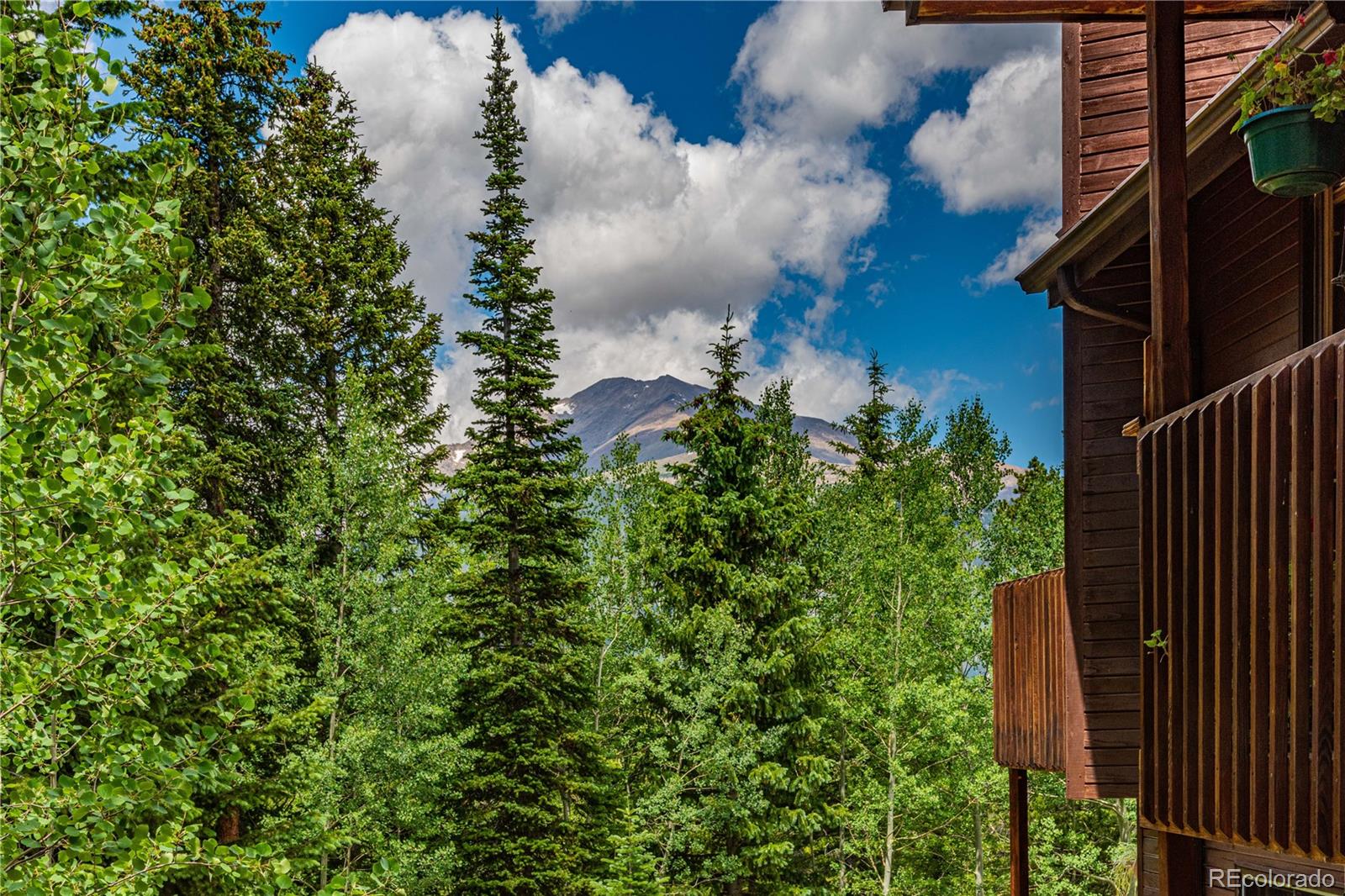 MLS Image #44 for 518  meadow mountain drive,allenspark, Colorado