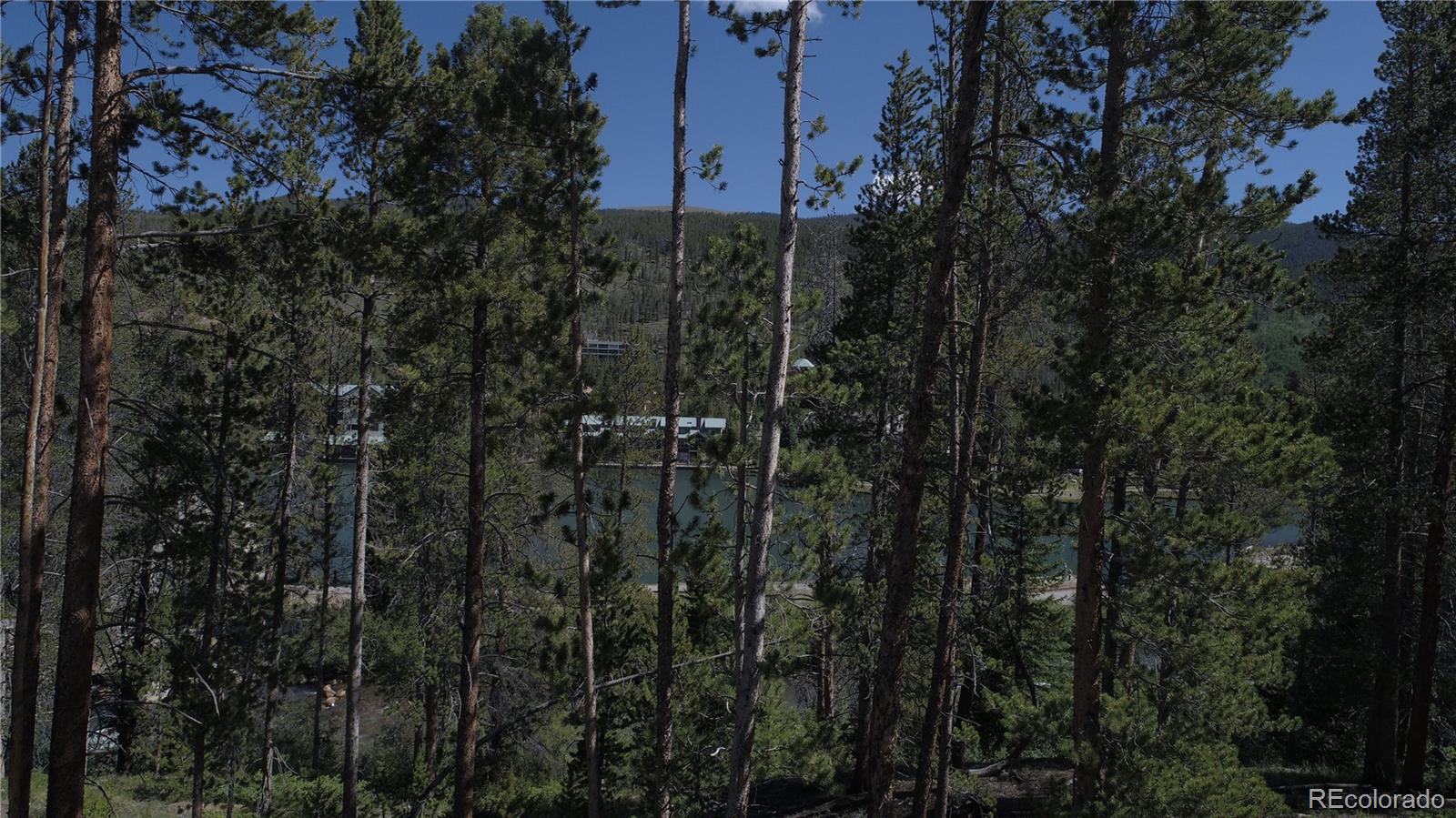 MLS Image #20 for 0117  lake ridge circle,keystone, Colorado