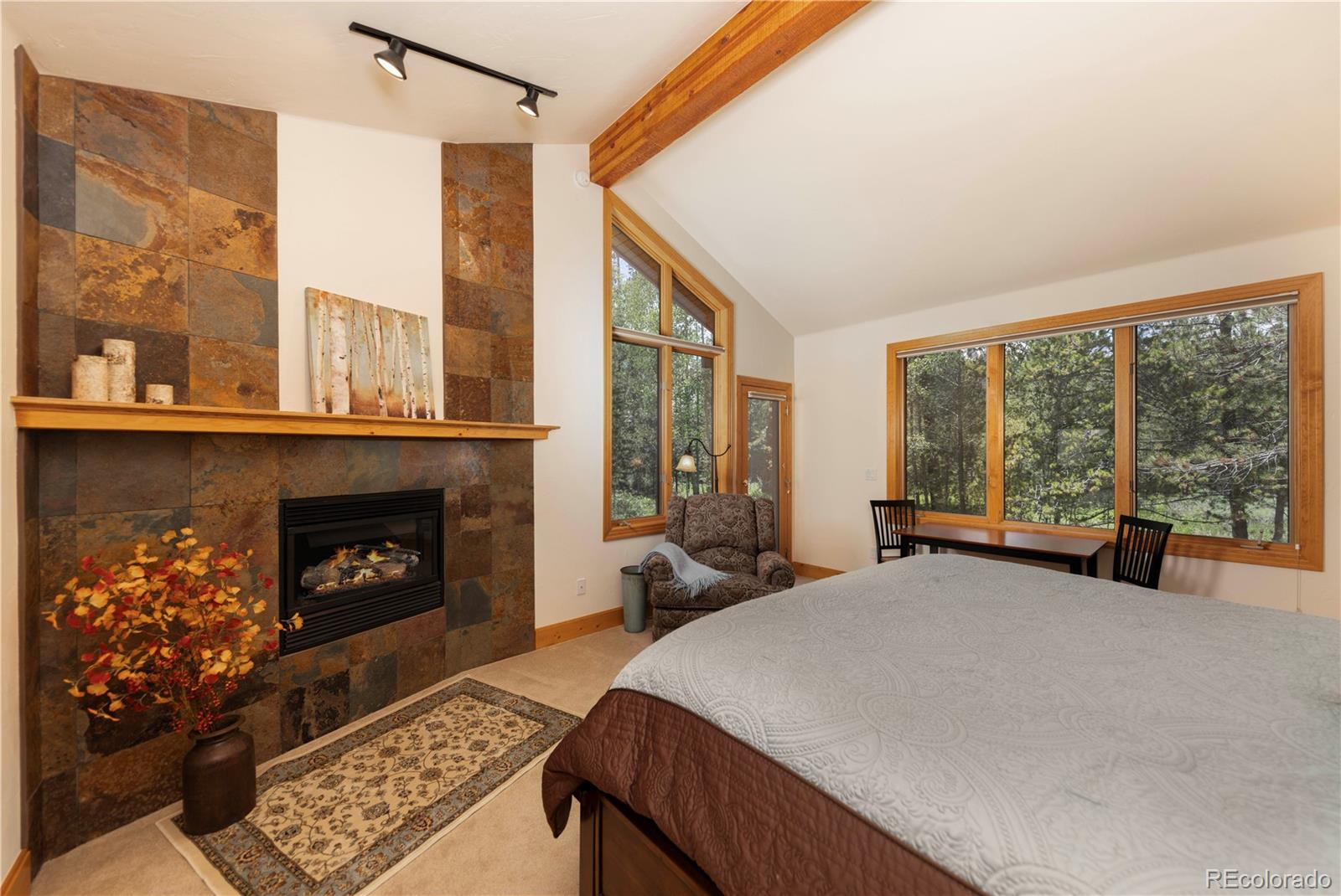 MLS Image #16 for 1755  red hawk road,silverthorne, Colorado