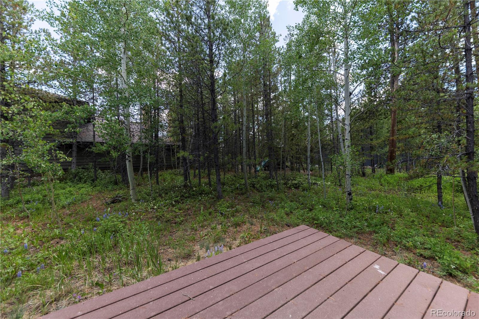 MLS Image #23 for 1755  red hawk road,silverthorne, Colorado