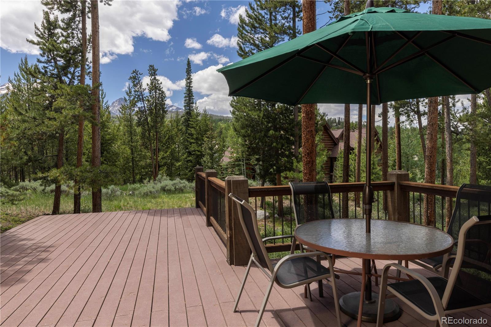 MLS Image #3 for 1755  red hawk road,silverthorne, Colorado