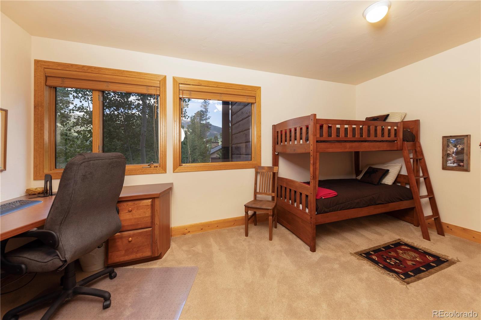 MLS Image #32 for 1755  red hawk road,silverthorne, Colorado