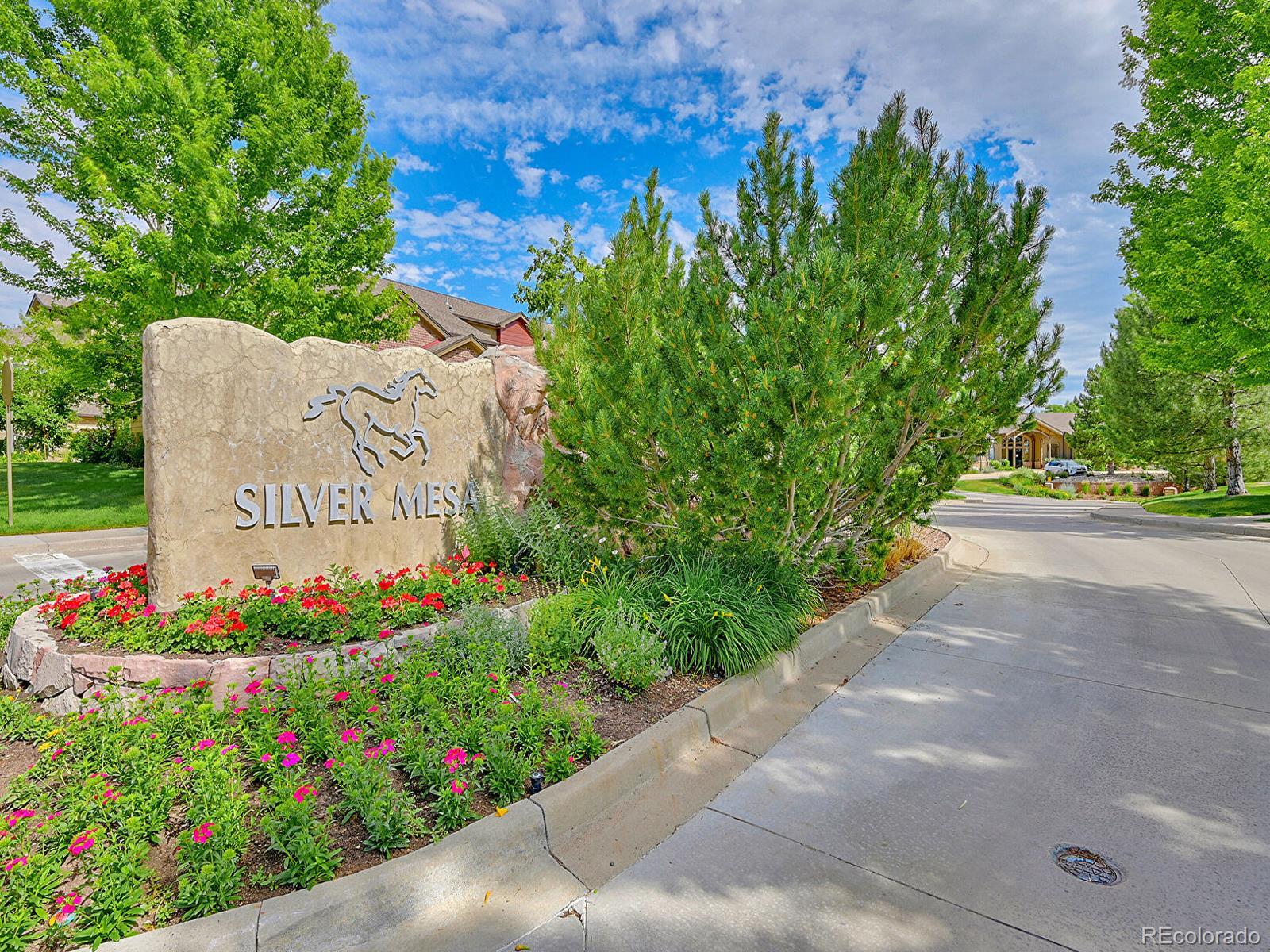 MLS Image #31 for 6426  silver mesa drive,highlands ranch, Colorado