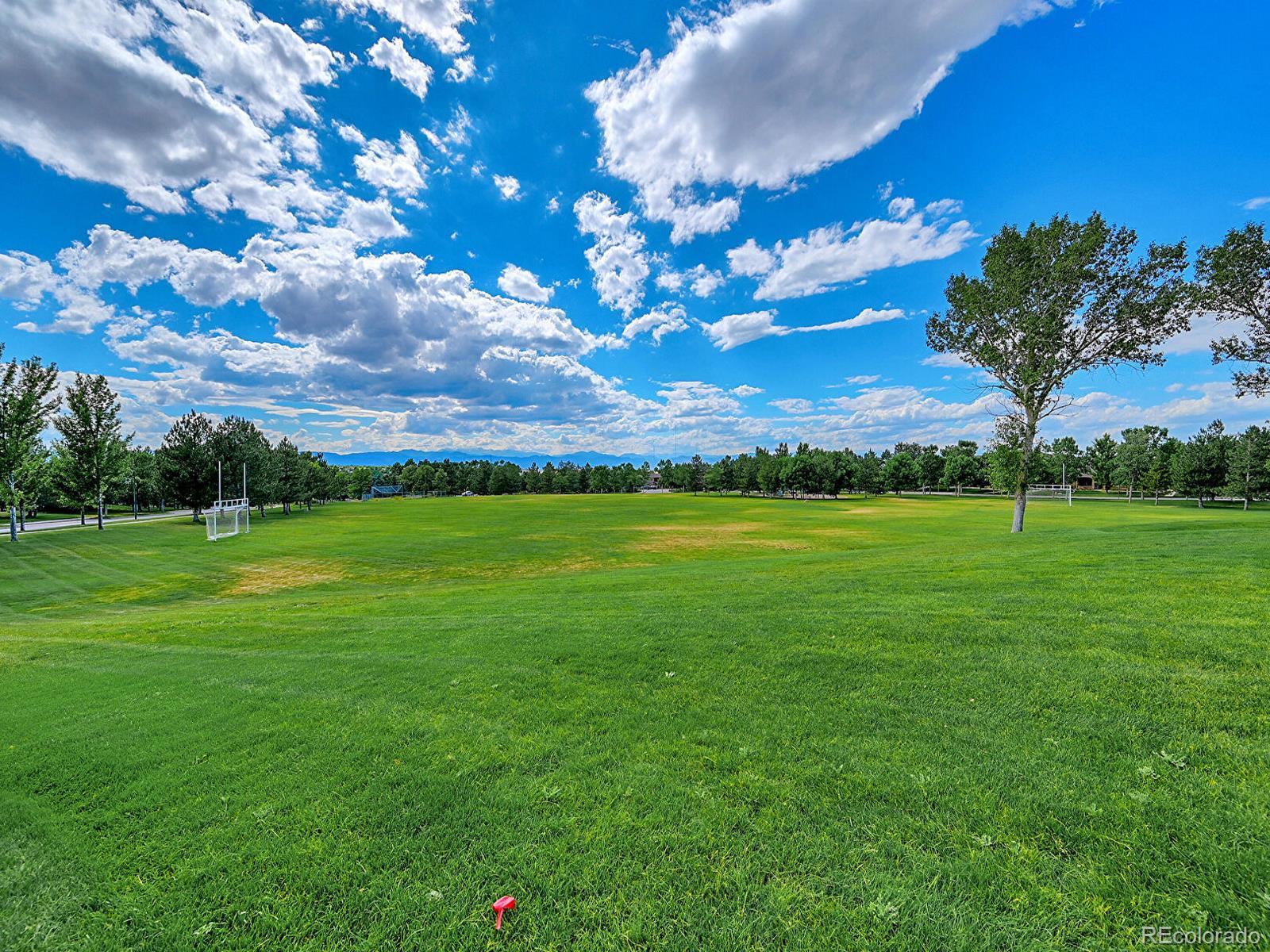 MLS Image #45 for 6426  silver mesa drive,highlands ranch, Colorado