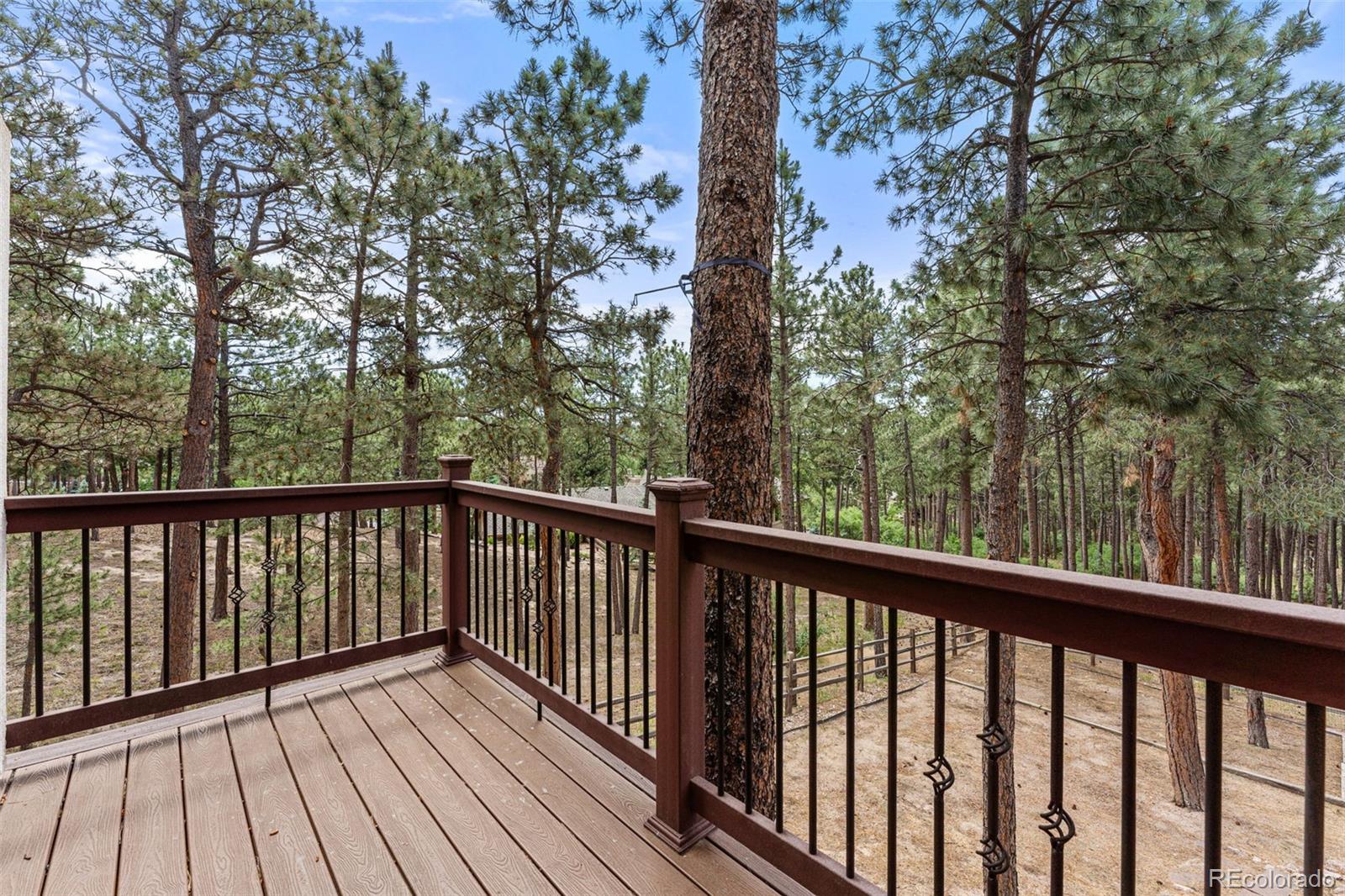 MLS Image #20 for 210  lodgepole way,monument, Colorado
