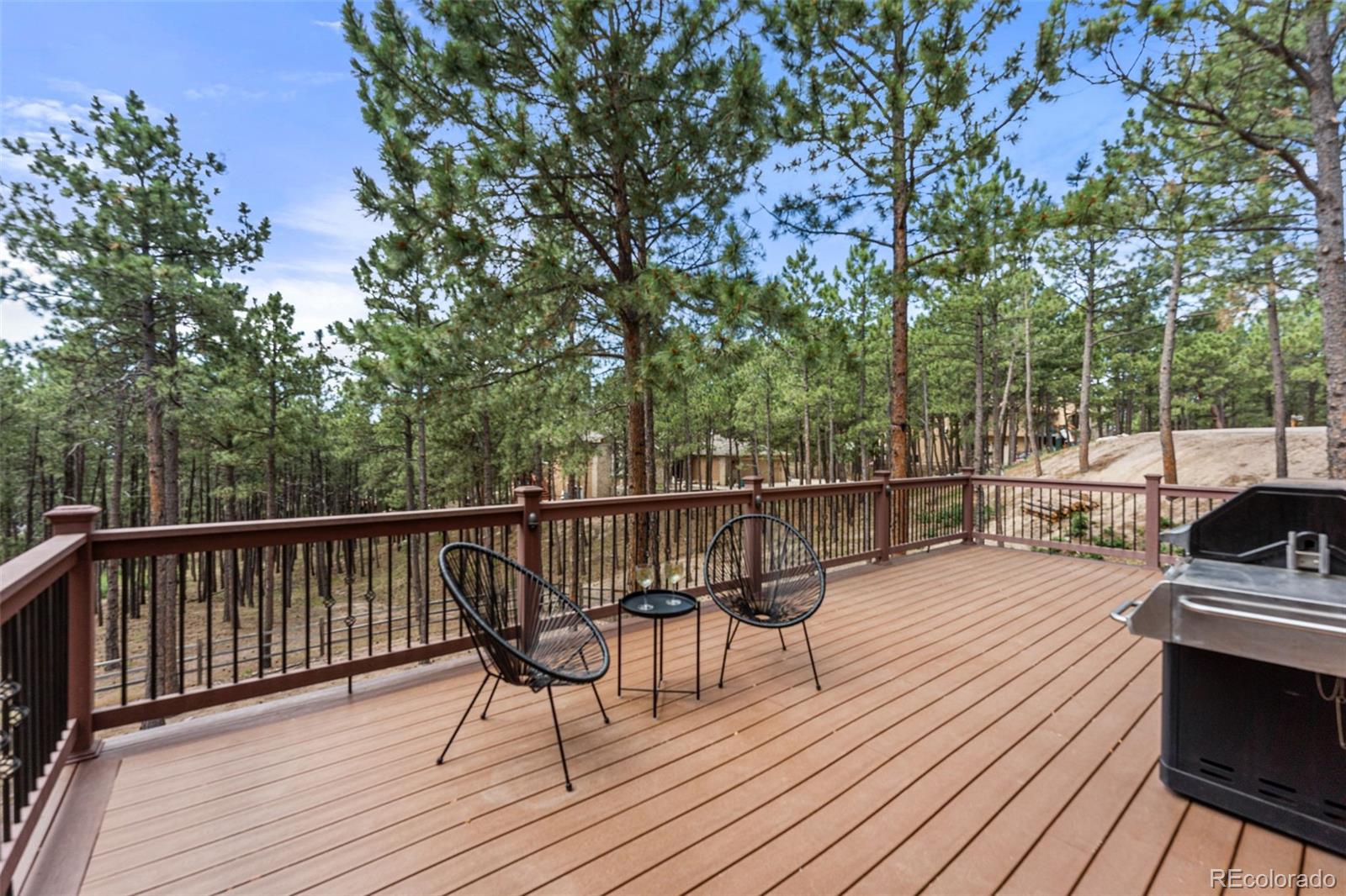 MLS Image #43 for 210  lodgepole way,monument, Colorado