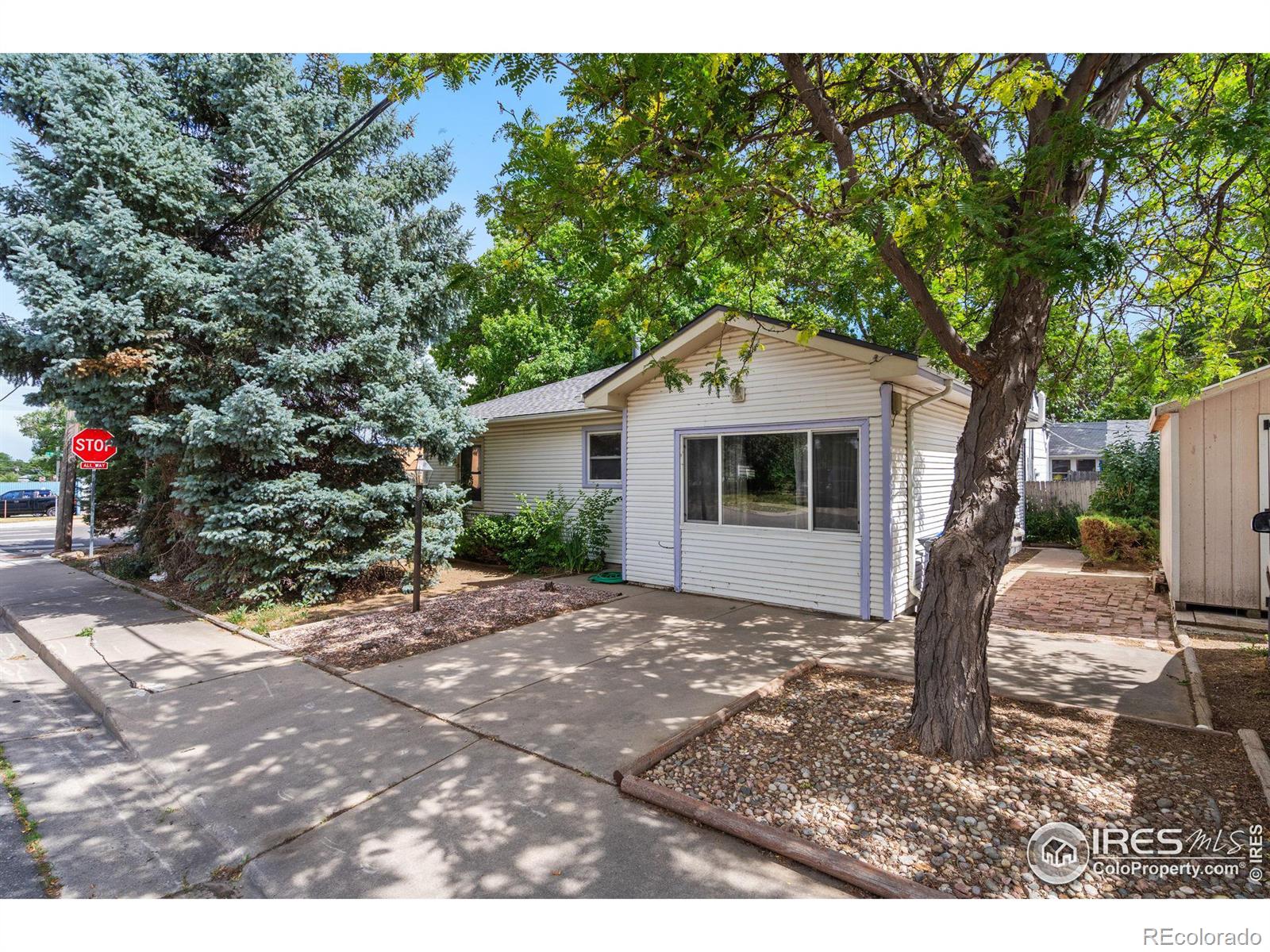 MLS Image #14 for 1555  monroe avenue,loveland, Colorado