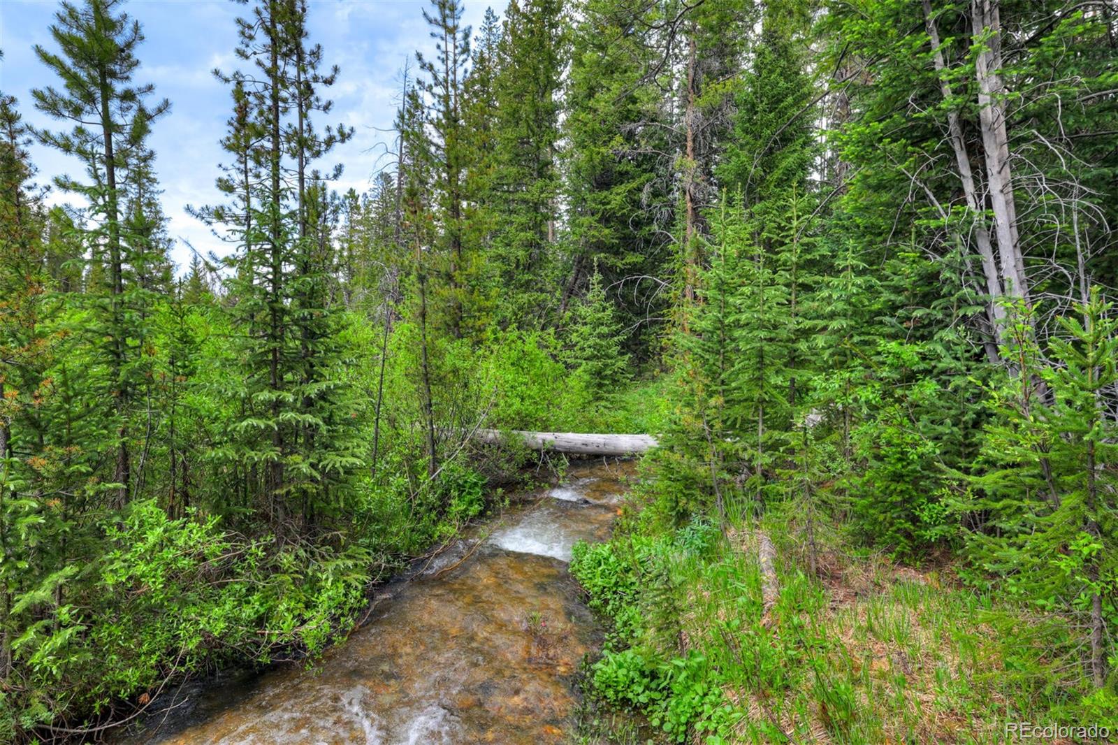 MLS Image #46 for 133  adams way,breckenridge, Colorado