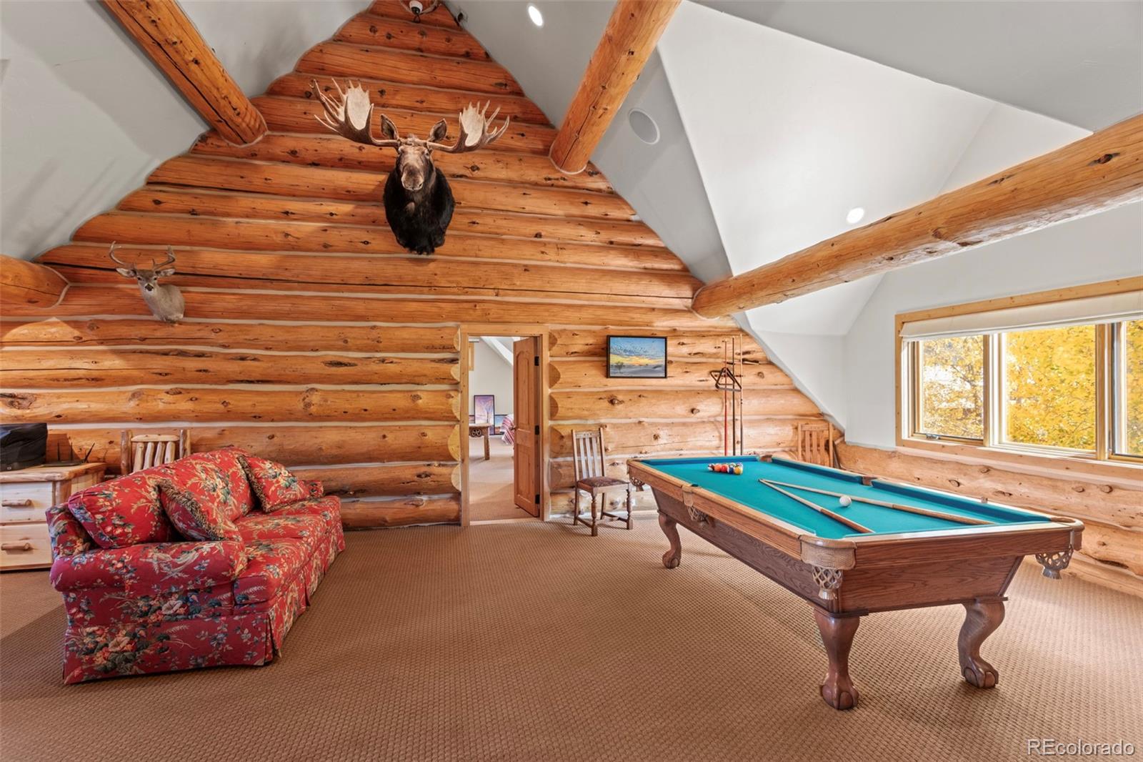 MLS Image #29 for 11  iron bridge place,south fork, Colorado