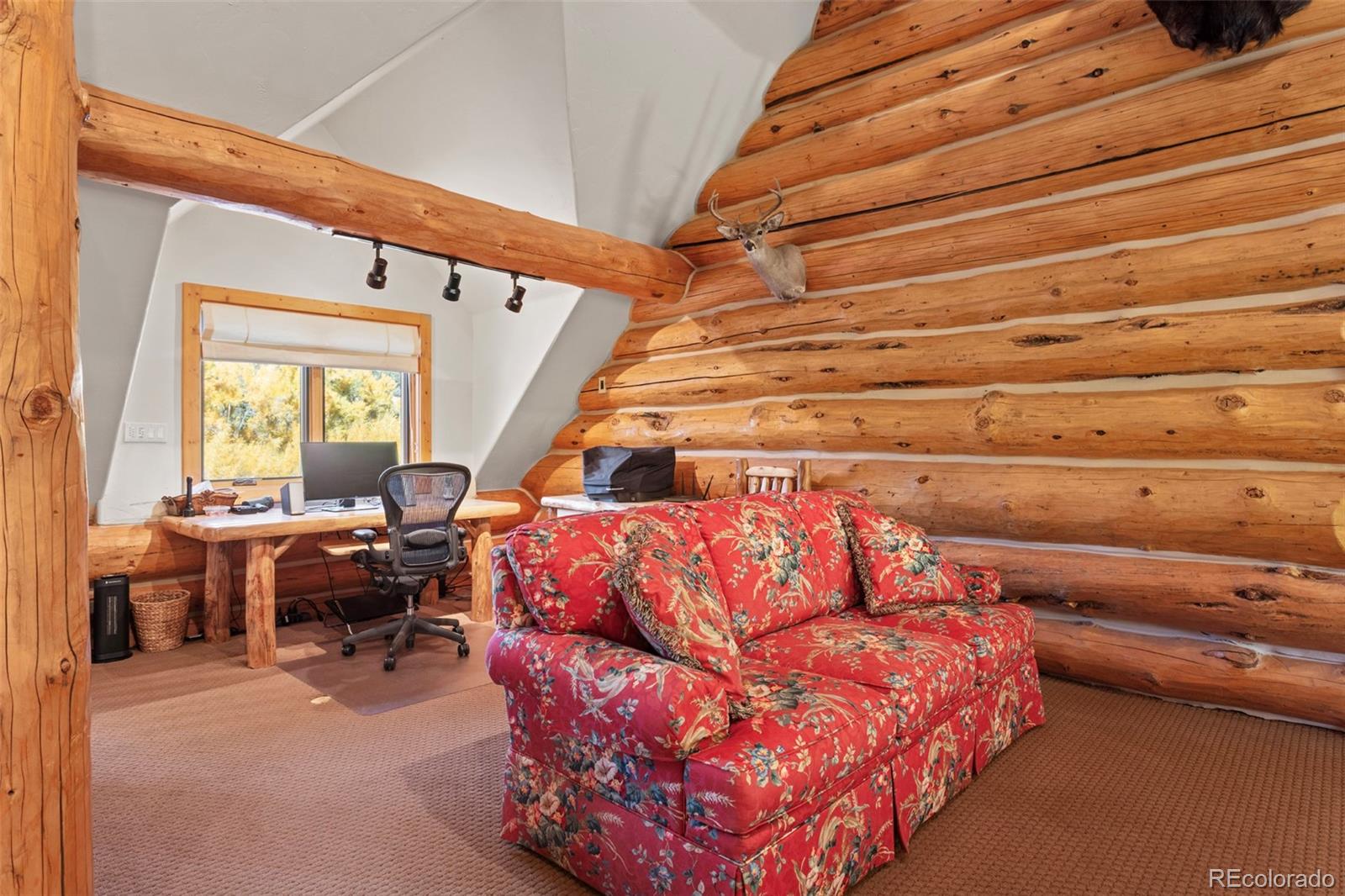 MLS Image #32 for 11  iron bridge place,south fork, Colorado