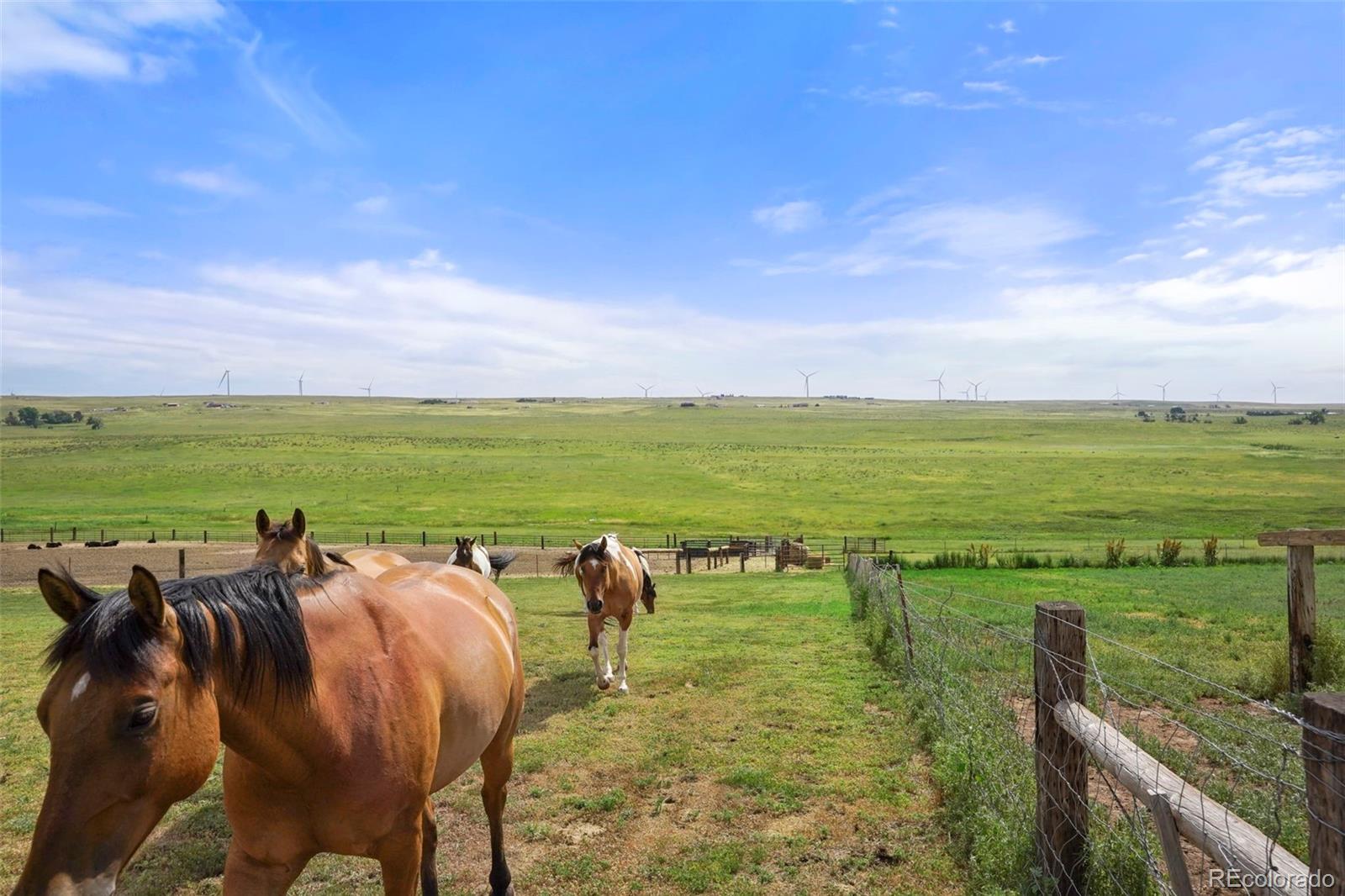 MLS Image #35 for 8155  soapweed road,calhan, Colorado