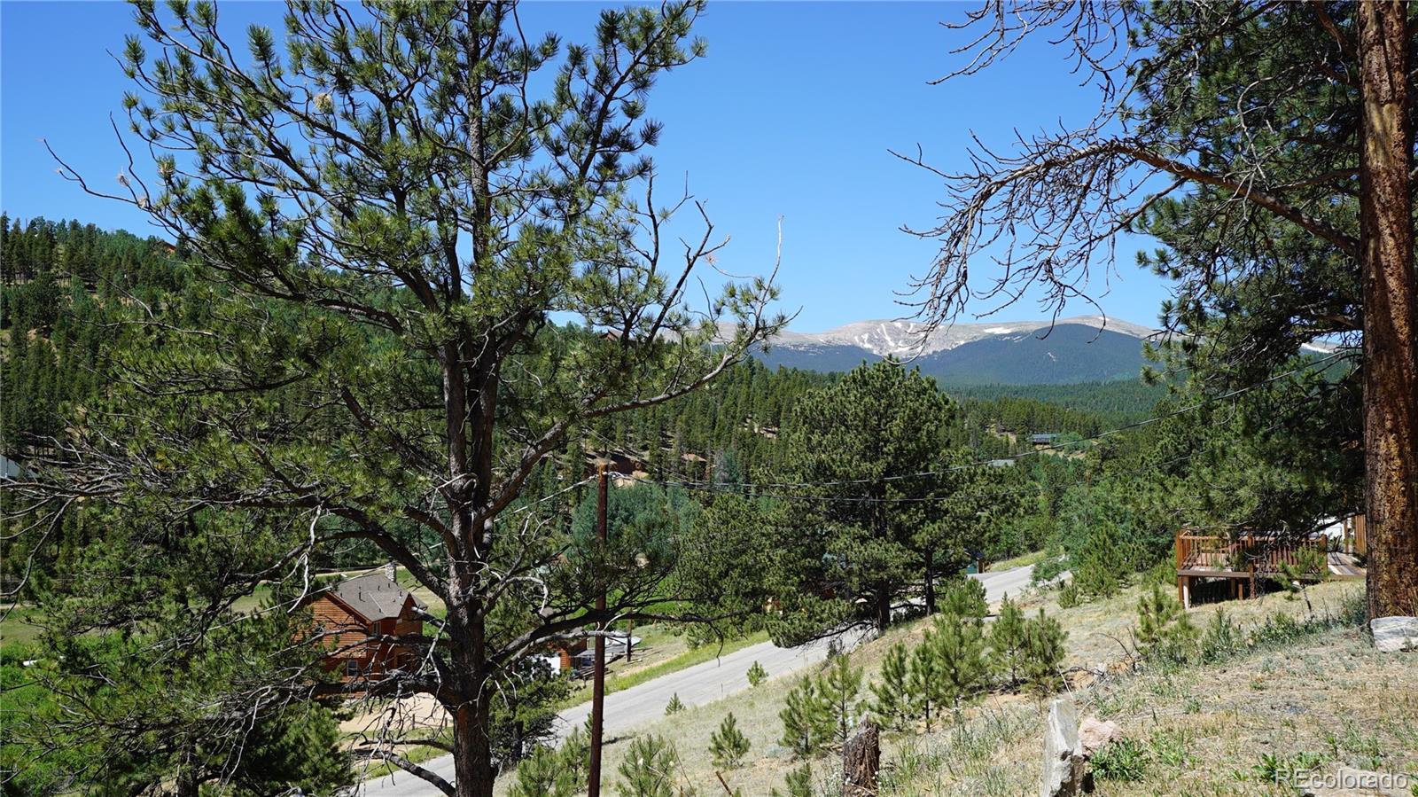 MLS Image #22 for 261  wilkins road,bailey, Colorado