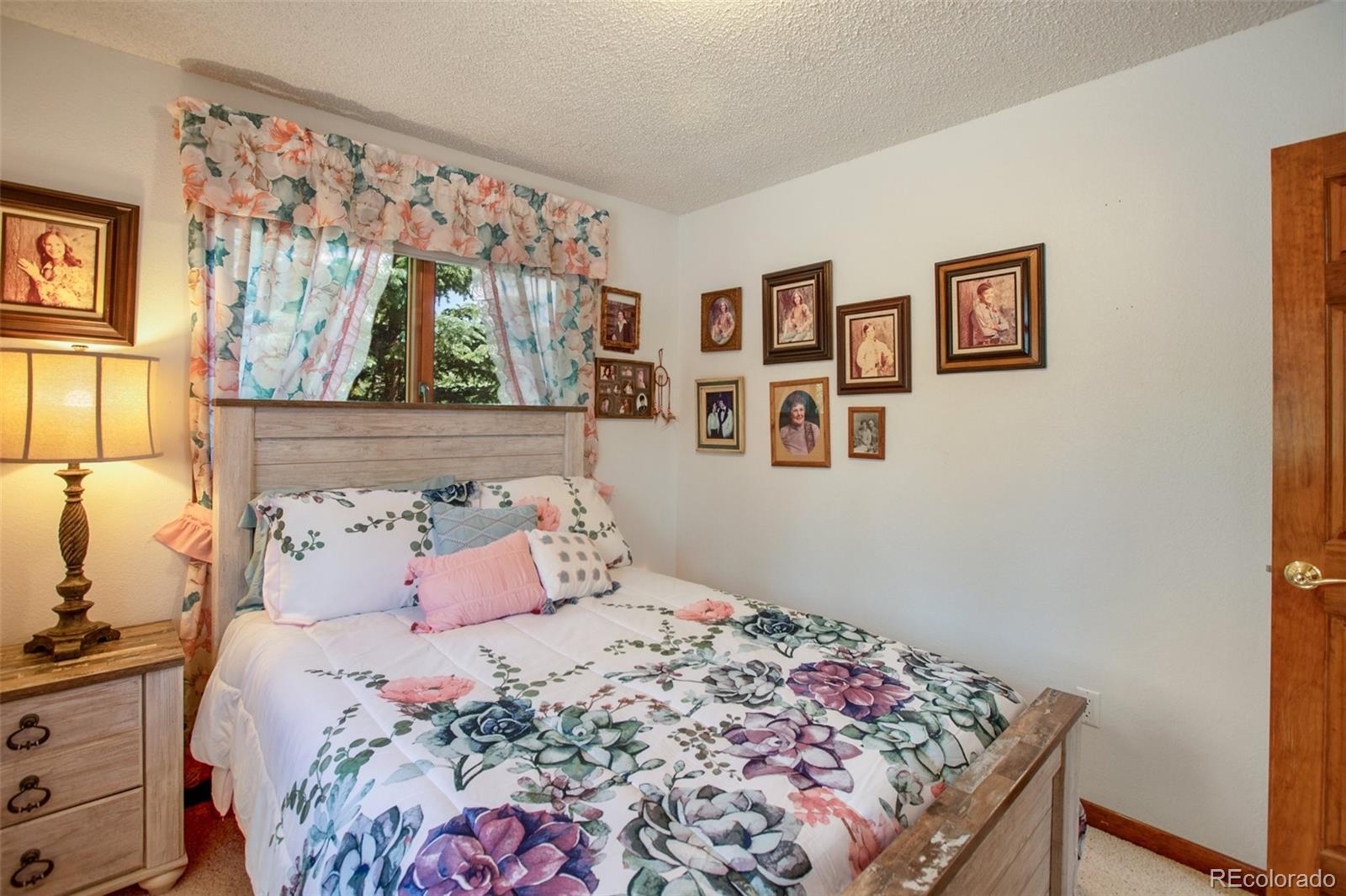 MLS Image #21 for 114  whale drive,lake george, Colorado