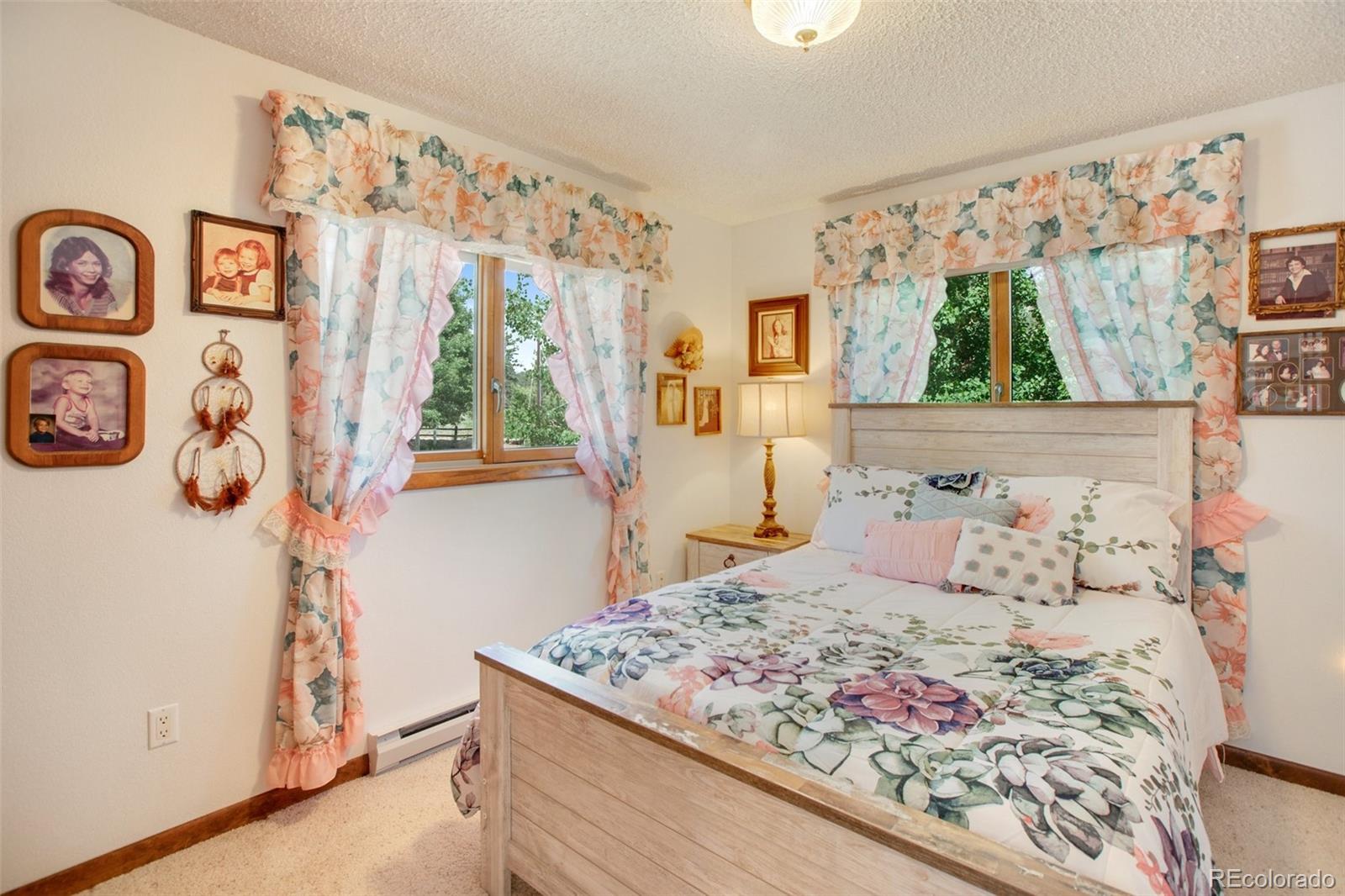 MLS Image #22 for 114  whale drive,lake george, Colorado