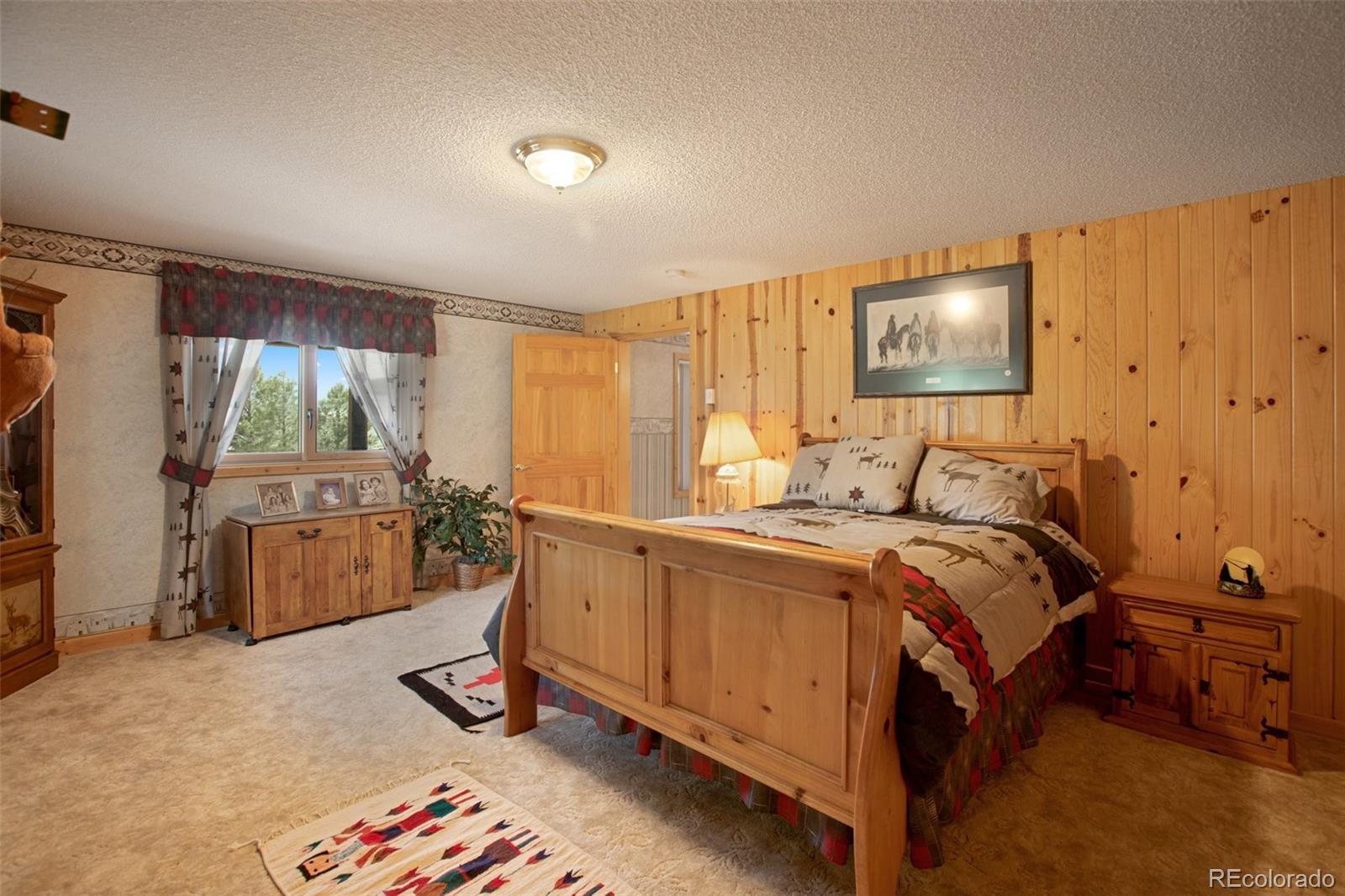 MLS Image #31 for 114  whale drive,lake george, Colorado