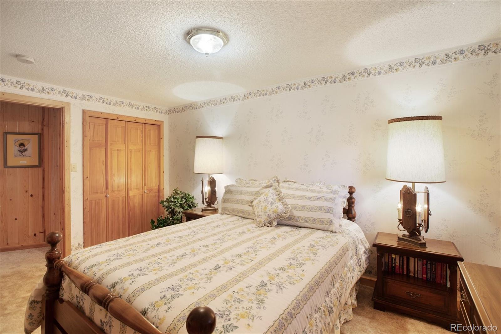 MLS Image #33 for 114  whale drive,lake george, Colorado