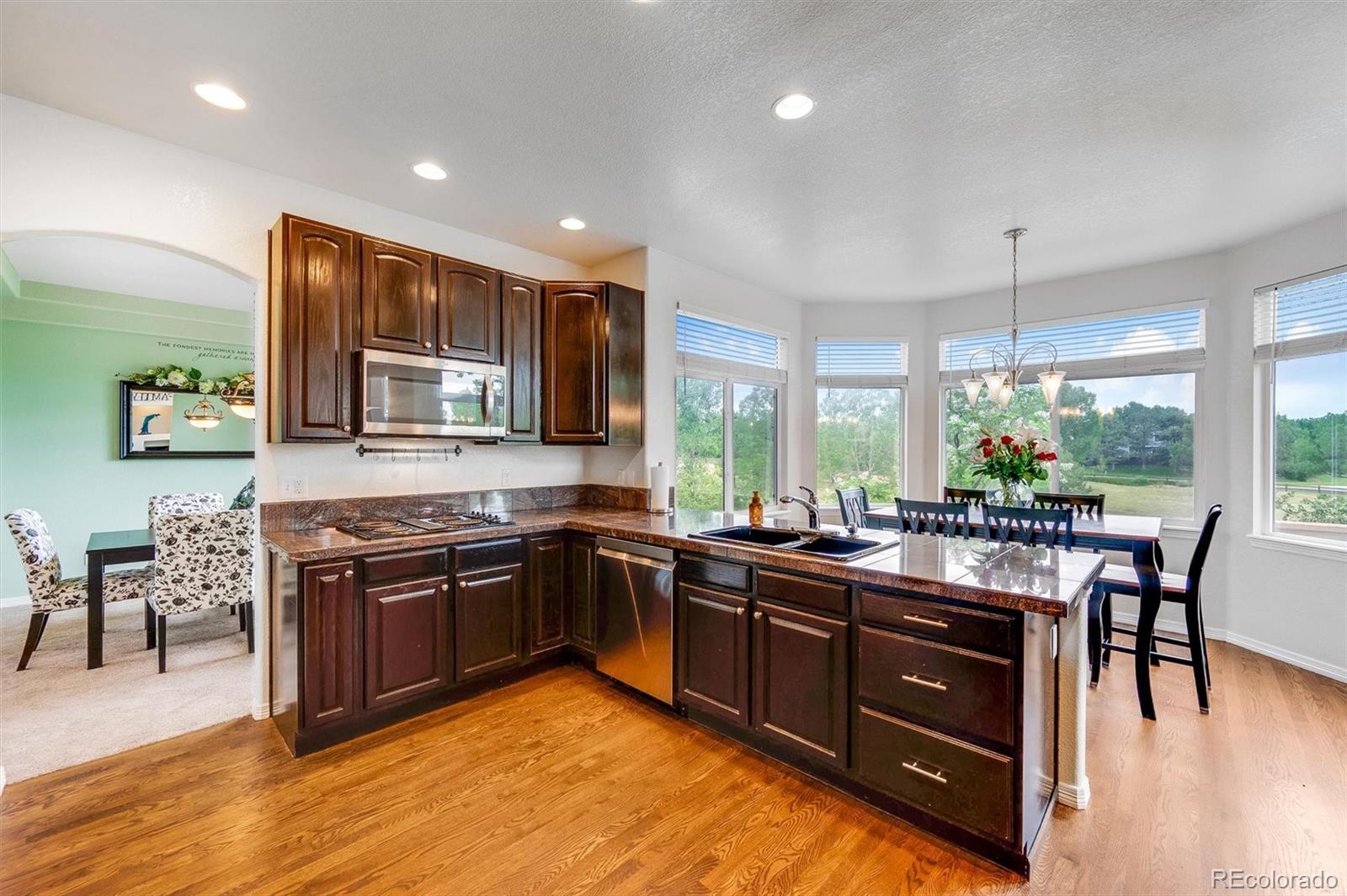 MLS Image #8 for 16637  tin cup court,parker, Colorado