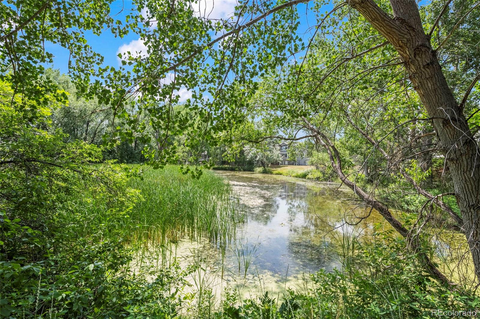 MLS Image #33 for 4758  franklin drive,boulder, Colorado